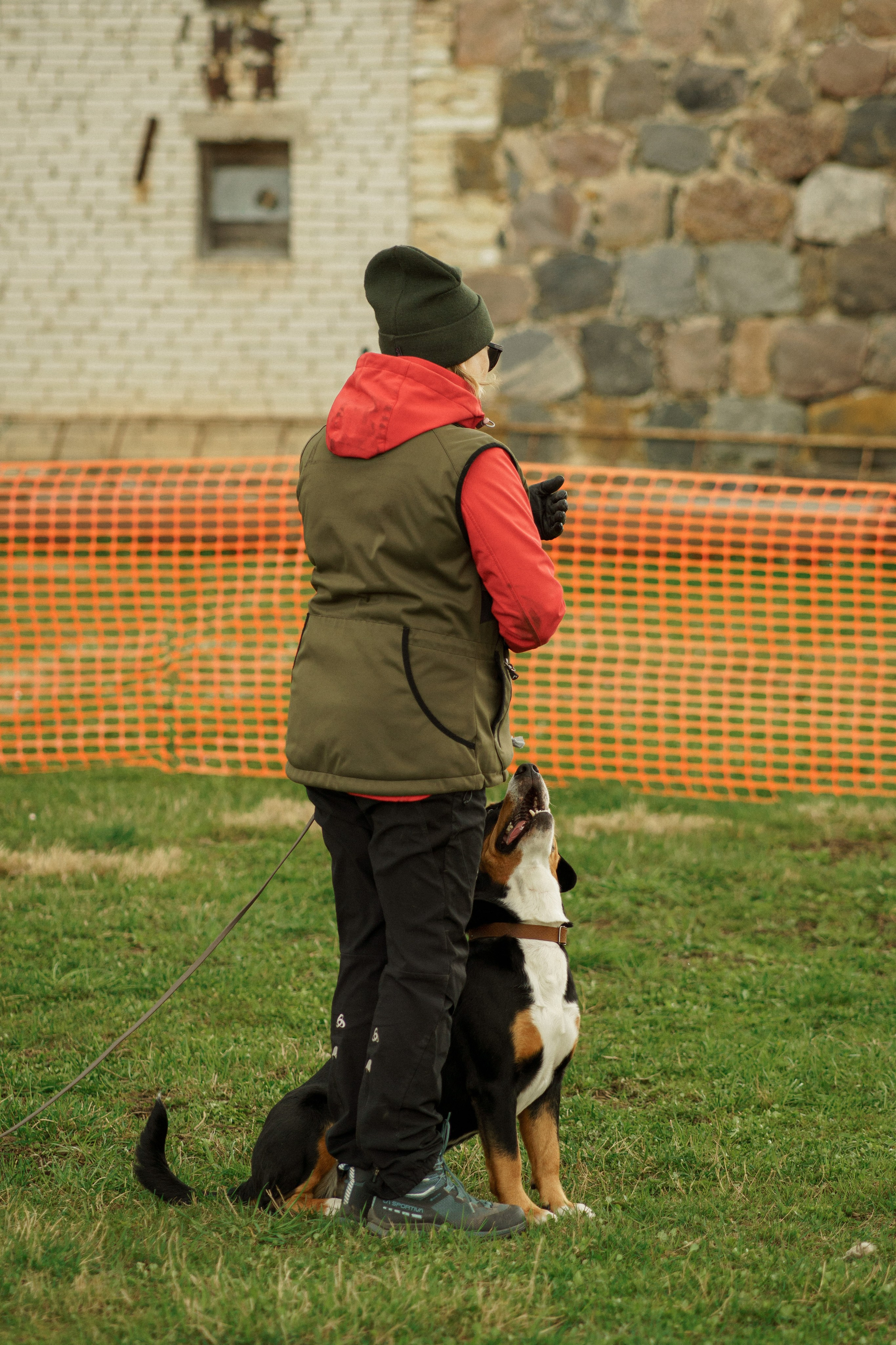 Herding Days, 26 apr. 2025. Kat Laisaar — Pet photographer in Tallinn