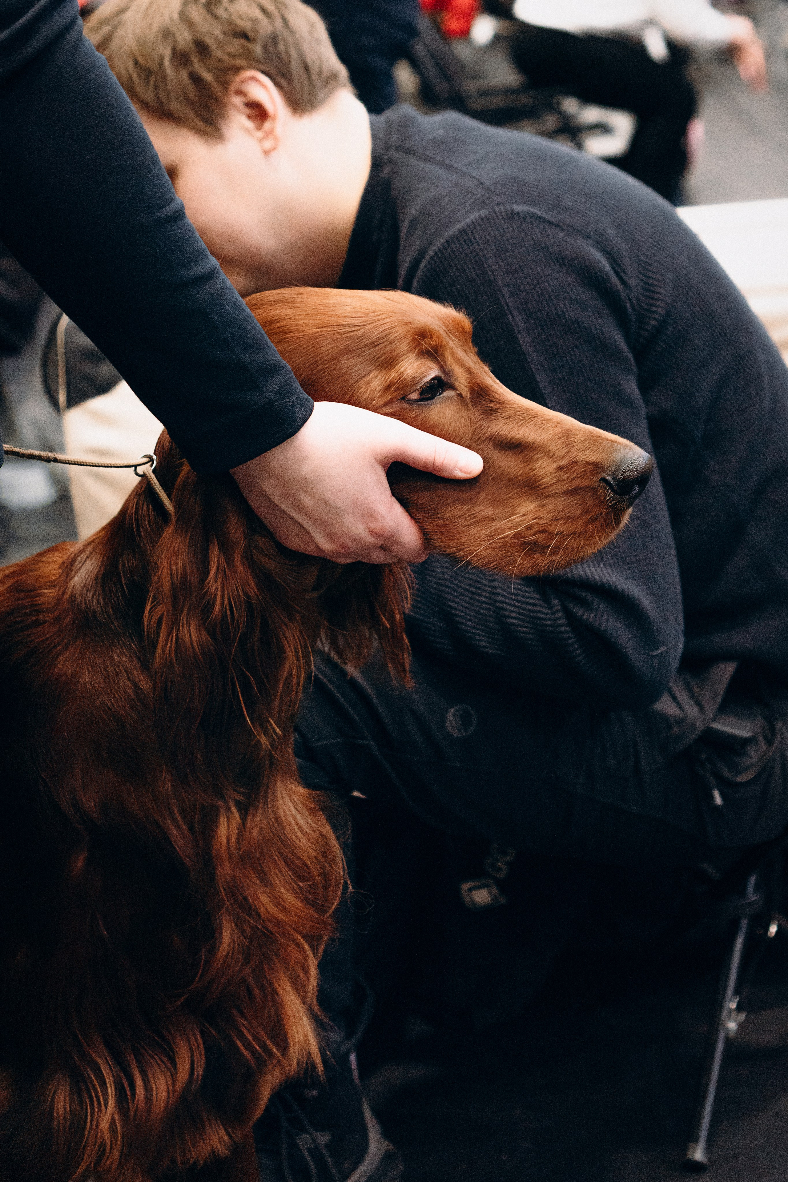 Pärnu dog weekend photo report. Kat Laisaar — Pet photographer in Tallinn