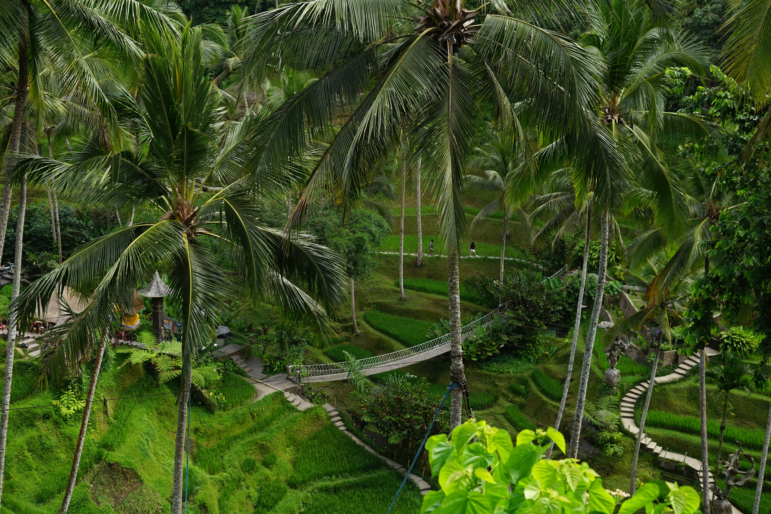 Bali. Hotel and travel photographer