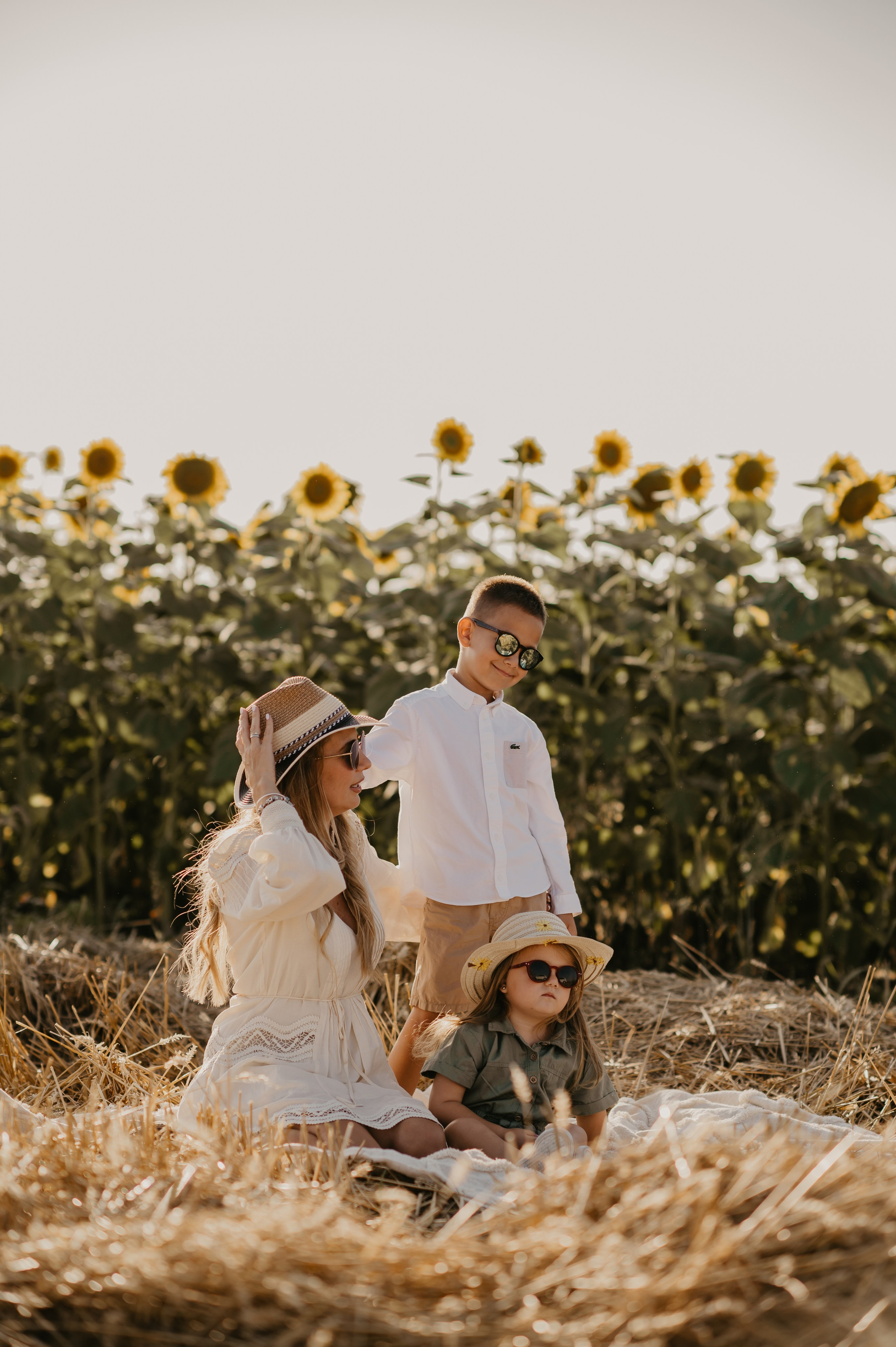 Polje suncokreta. Ana Sladojevic