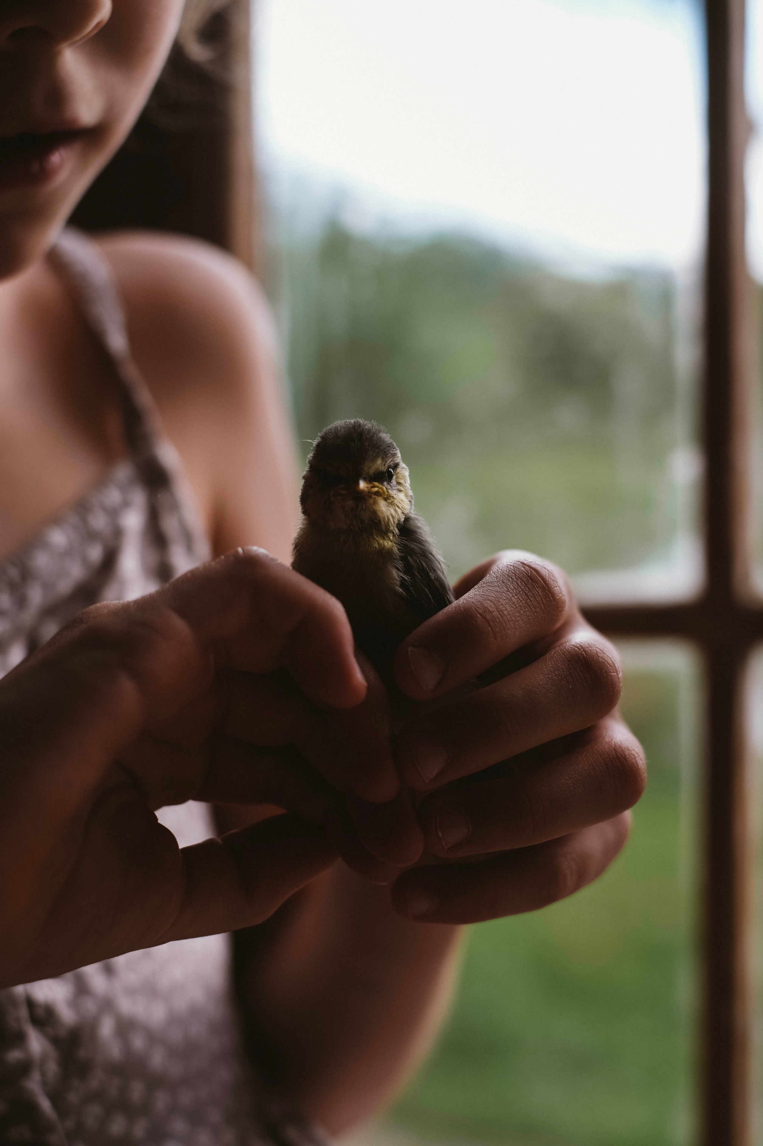 One year in a 500 years old house. Authentische Familienfotografie in Köln