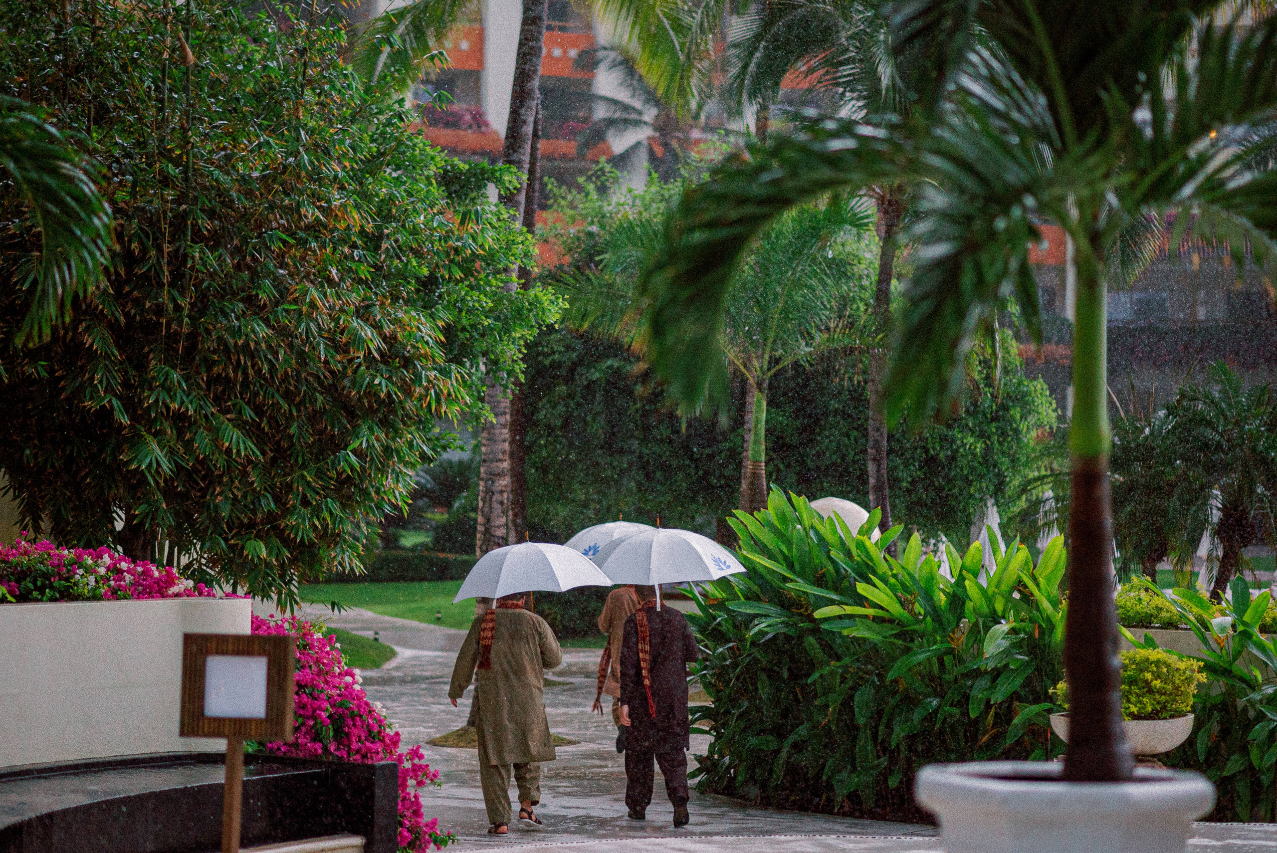 Wedding Shama & Garth. Sayulita Wedding Photographer, Puerto Vallarta, Cabo