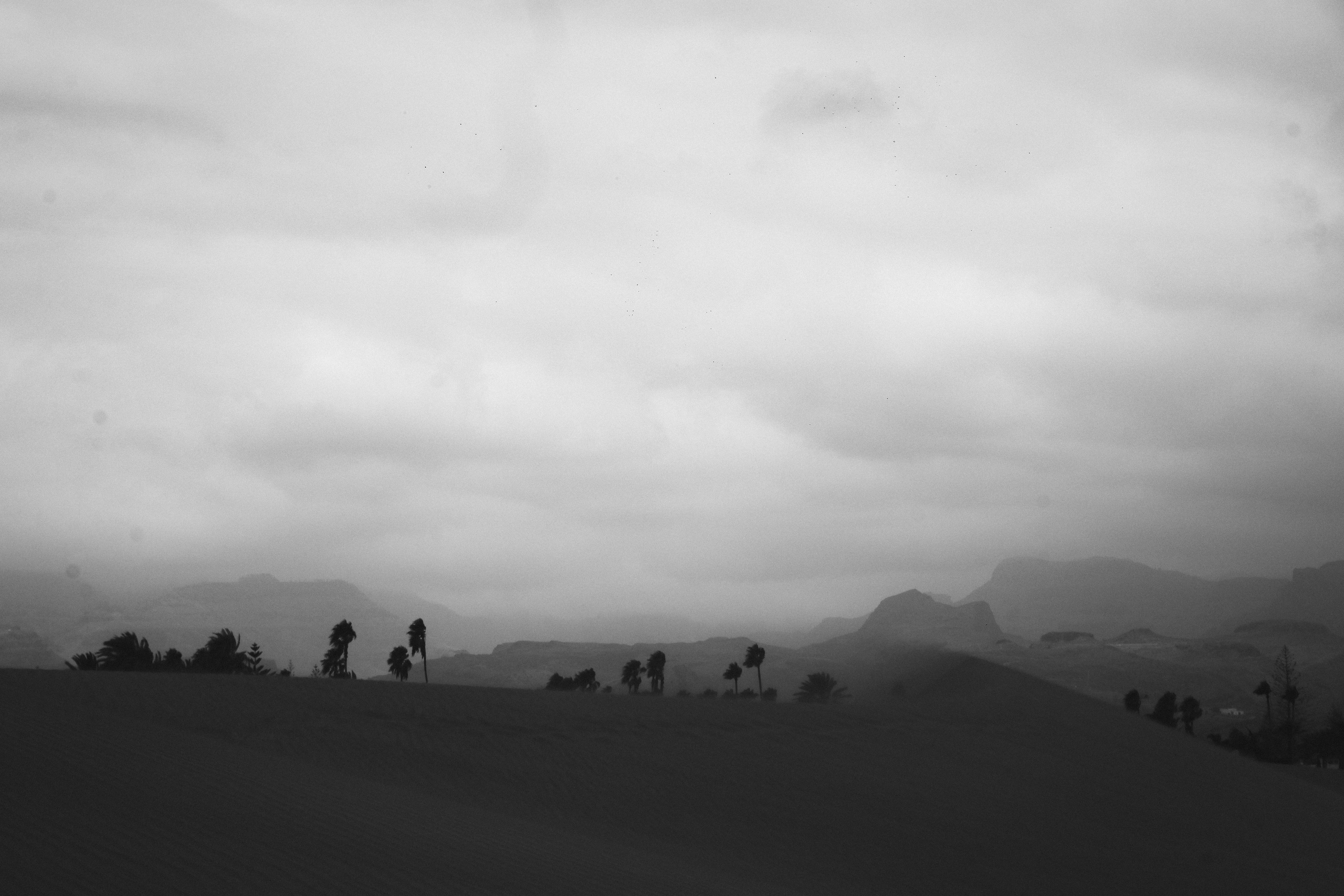 Gran Canaria 2025. Photographer Marina, city of Nuremberg