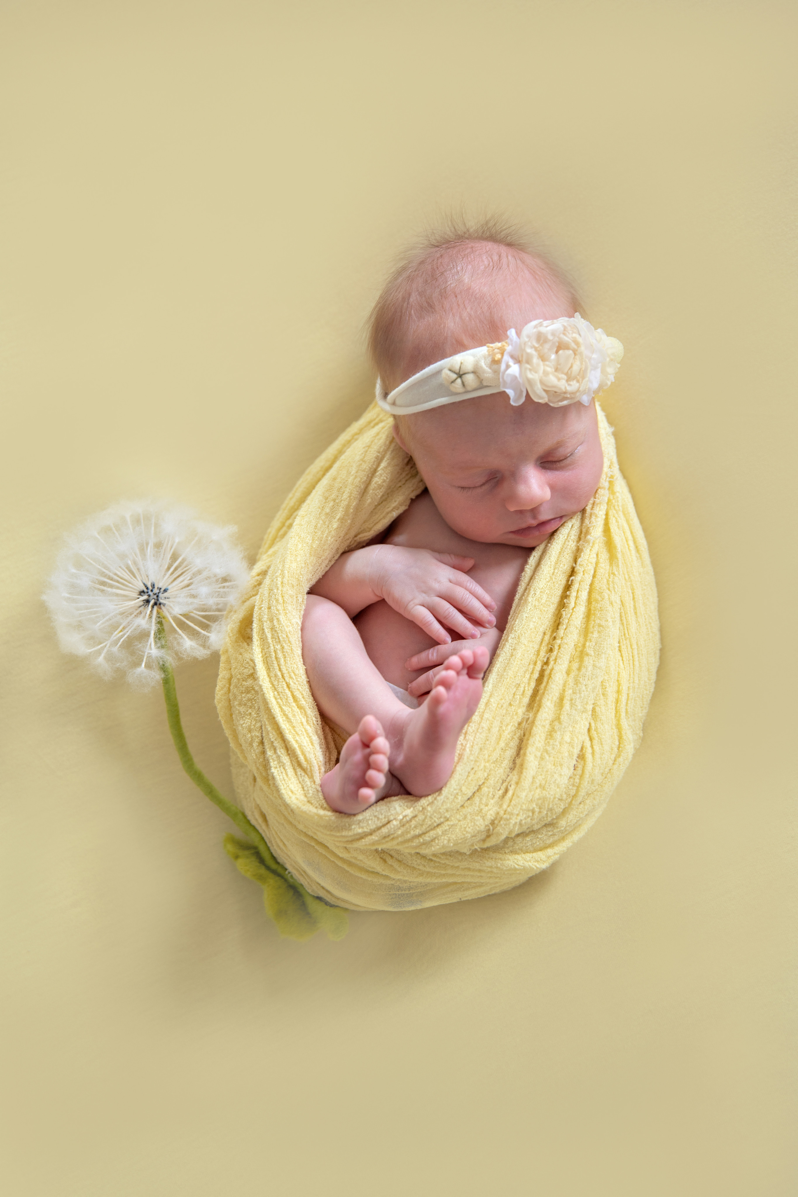 Neugeborenefotoshooting. Irina Küttner – Visuelle Geschichten: Foto & Web in Weimar, Erfurt & Jena