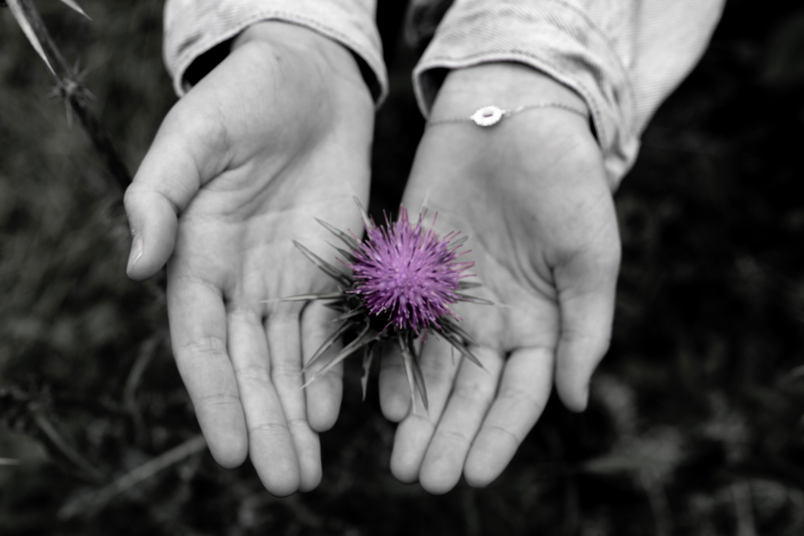 Avital. Art and outdoor photography