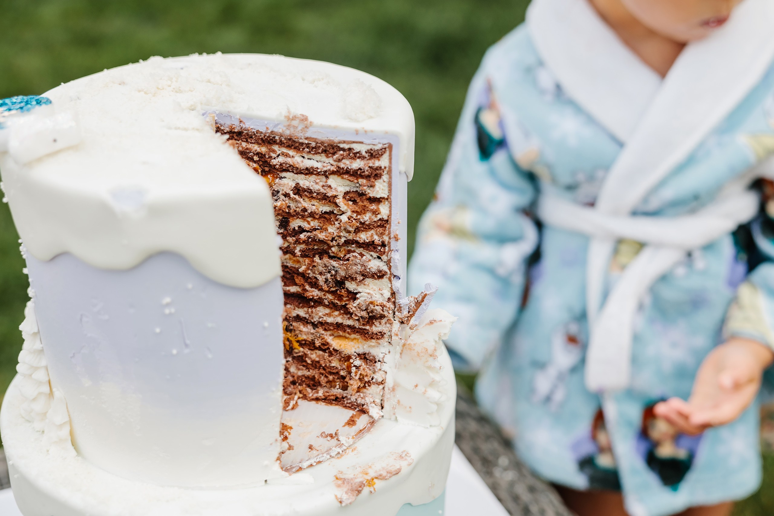 07.27.2024 Birthday Party. Wedding family event photographer in Chicago Nick Yushevich