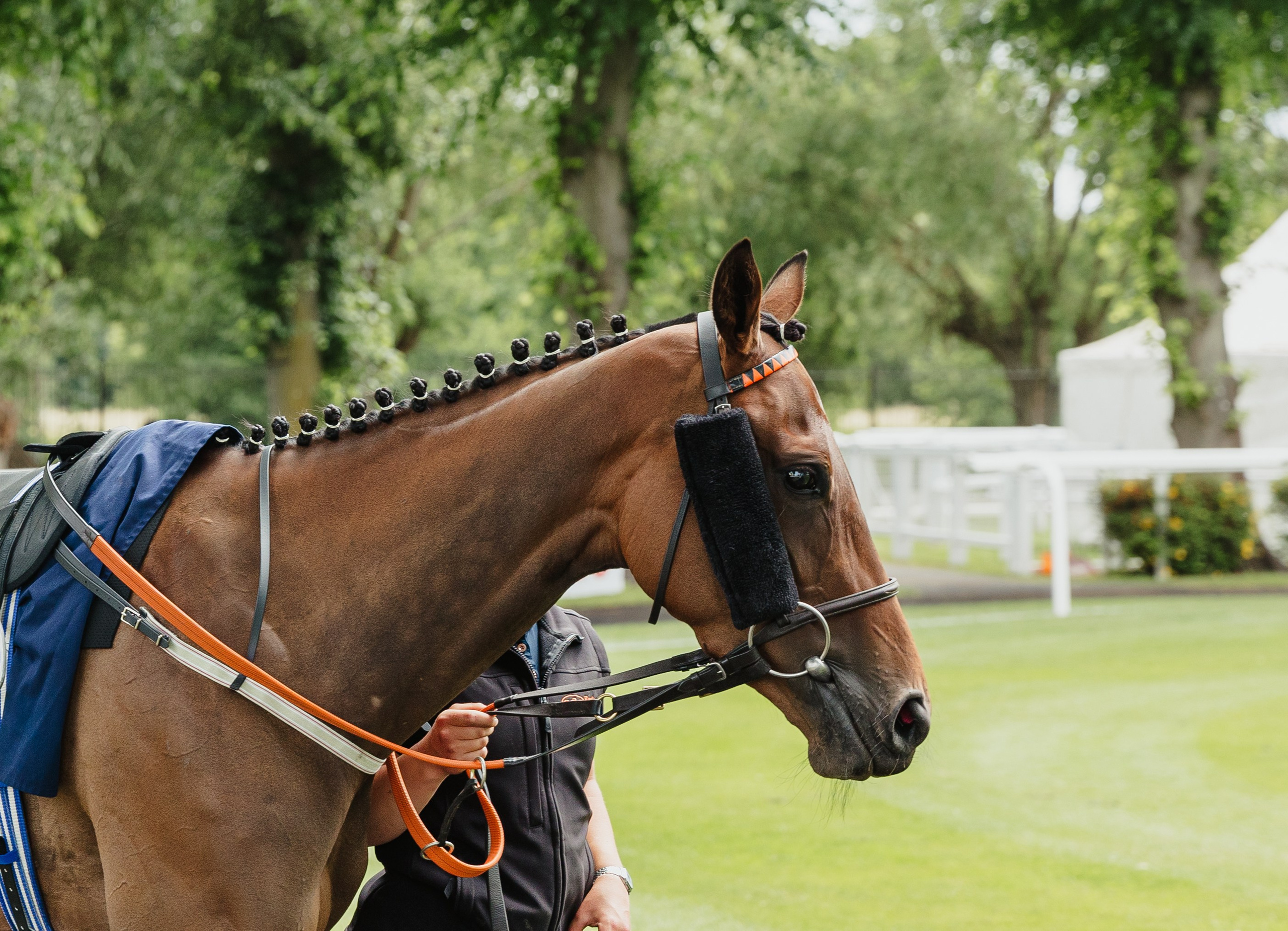 40th Birthday — Royal Windsor Racecourse. June, 2023. Timeless Wedding & Event Photography from London to the world