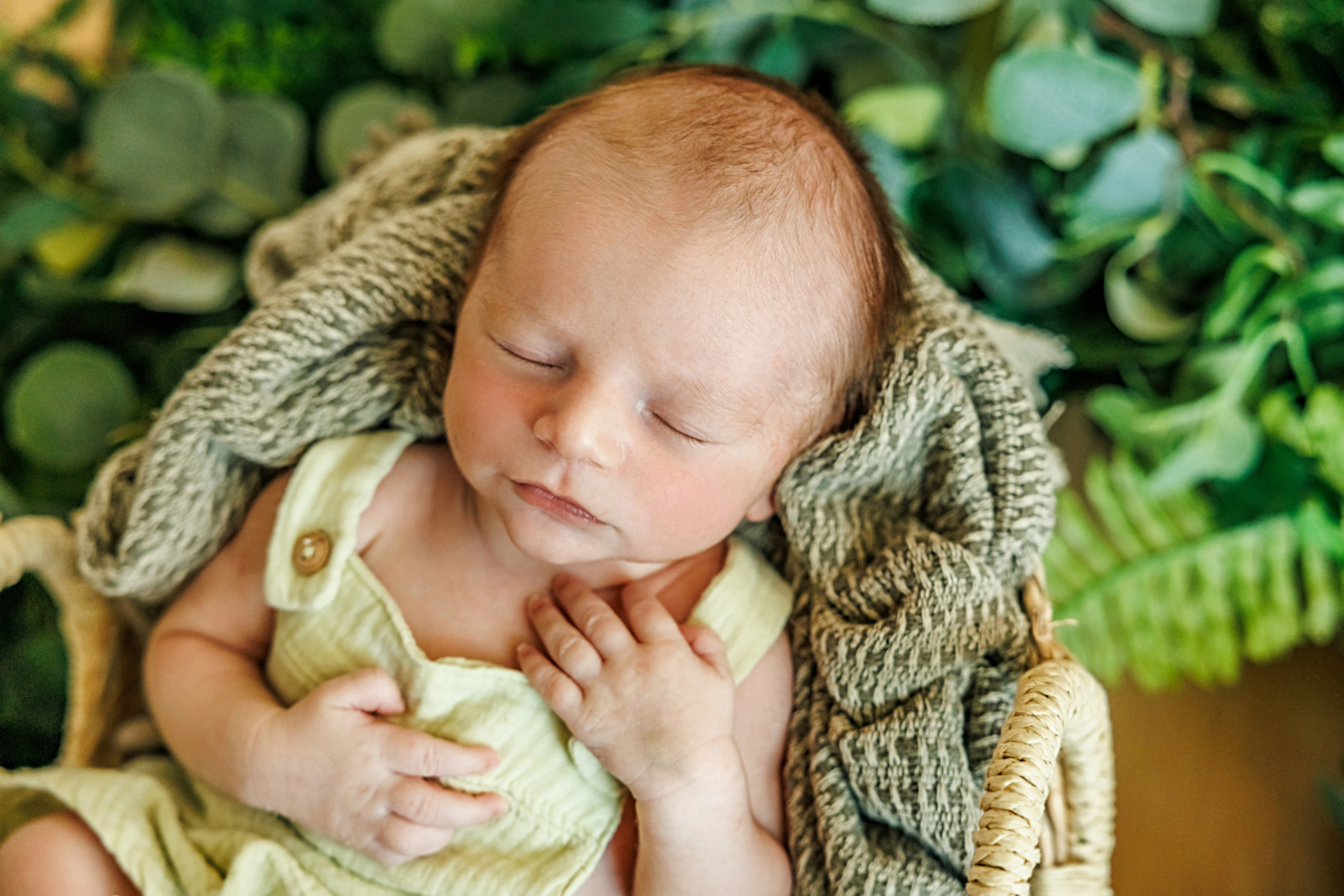 Baby Boy. Фотограф Ирина Йотова