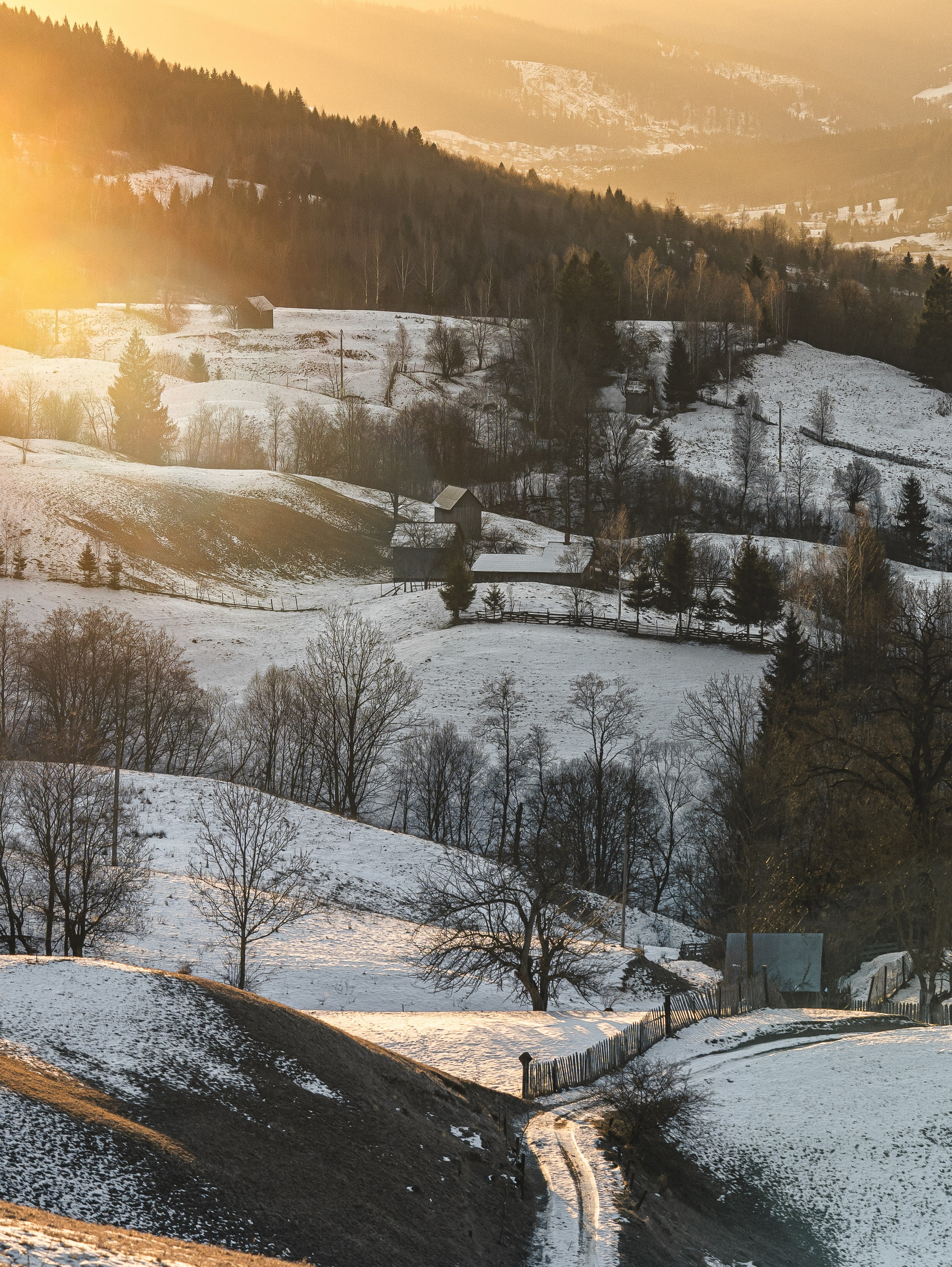 Galery. Fotografie de Familie, Nuntă și Evenimente - Marian V. Munteanu