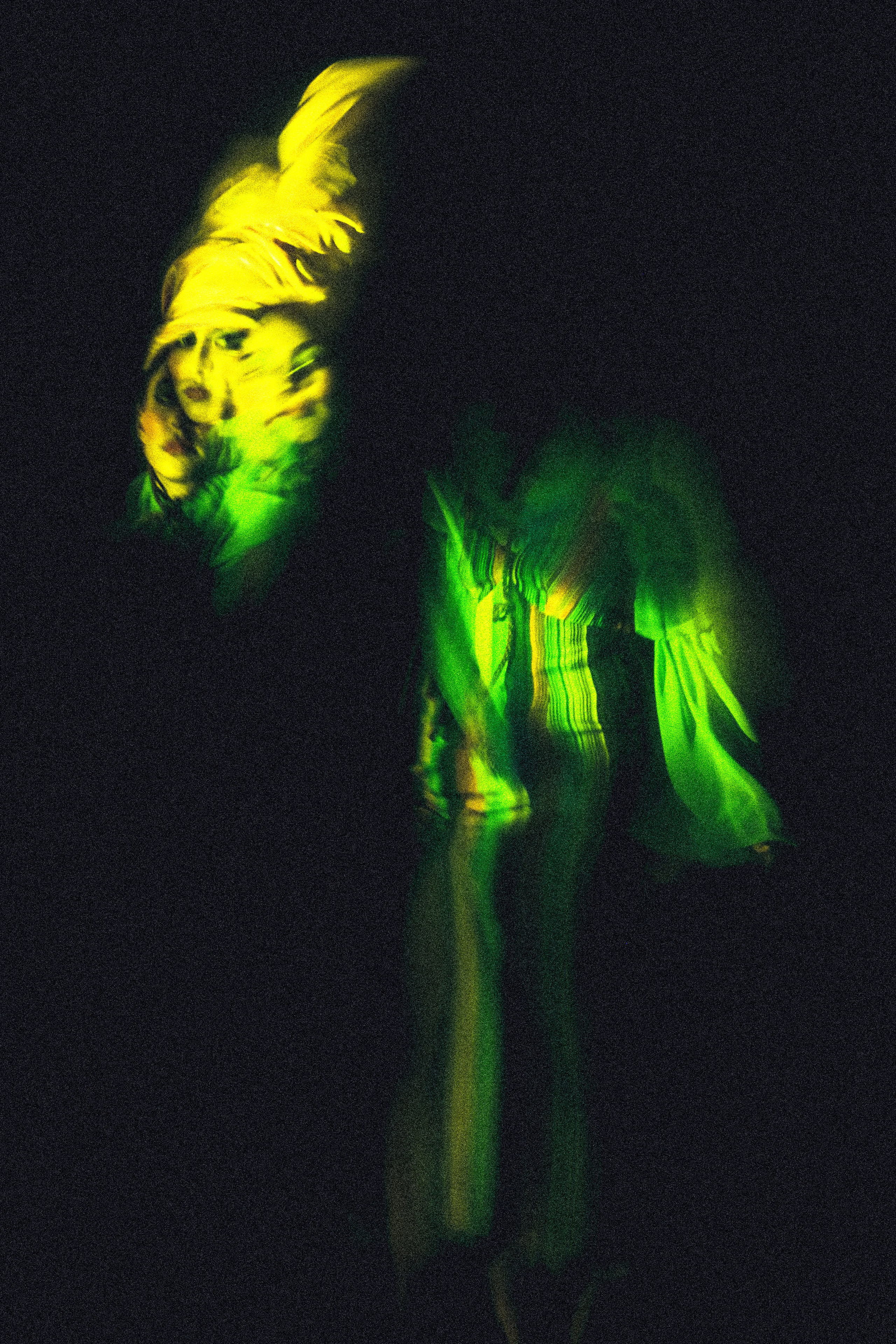 VANESA PROJECT. Anna Miyauchi