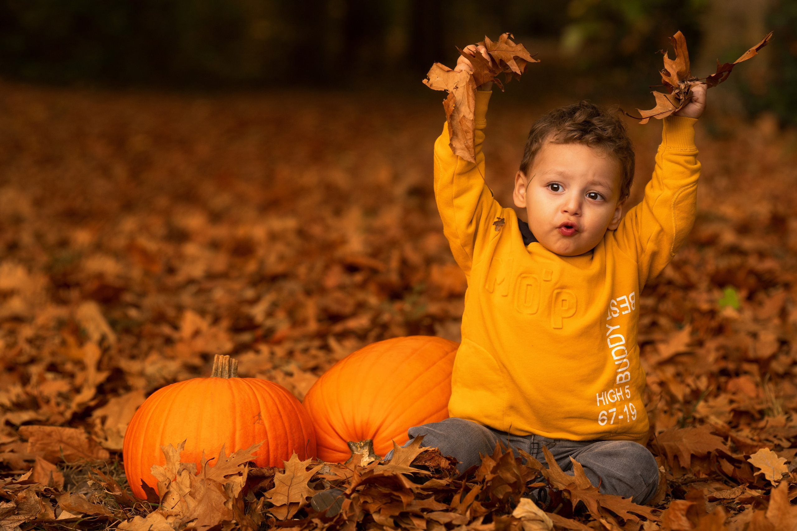 Herbstfotoshootings. Hochzeitfotografin in Lübbecke, Bielefeld, Espelkamp, NRW  Deutchland