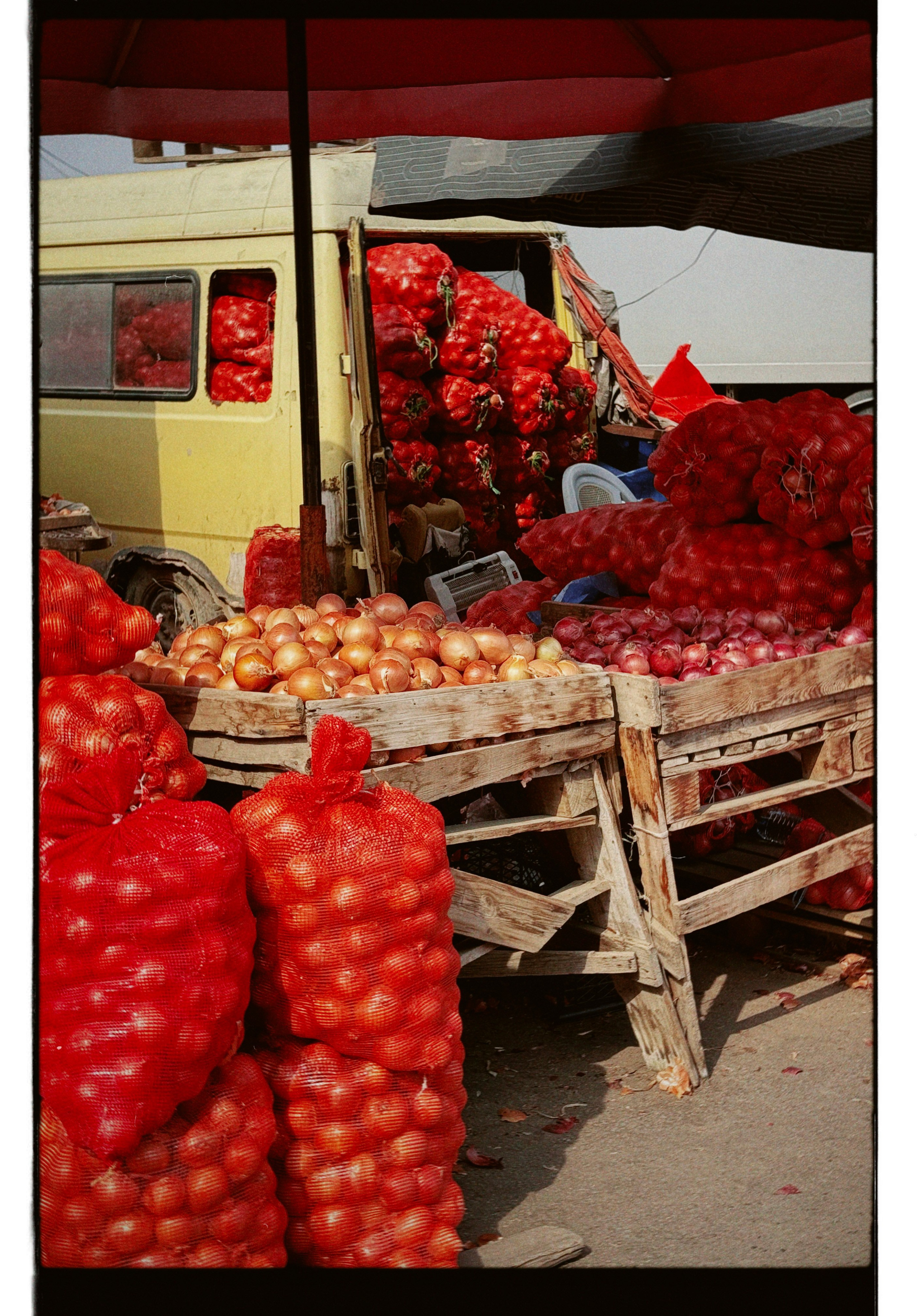 Работы Марии Шер. Sher.SCHOOL