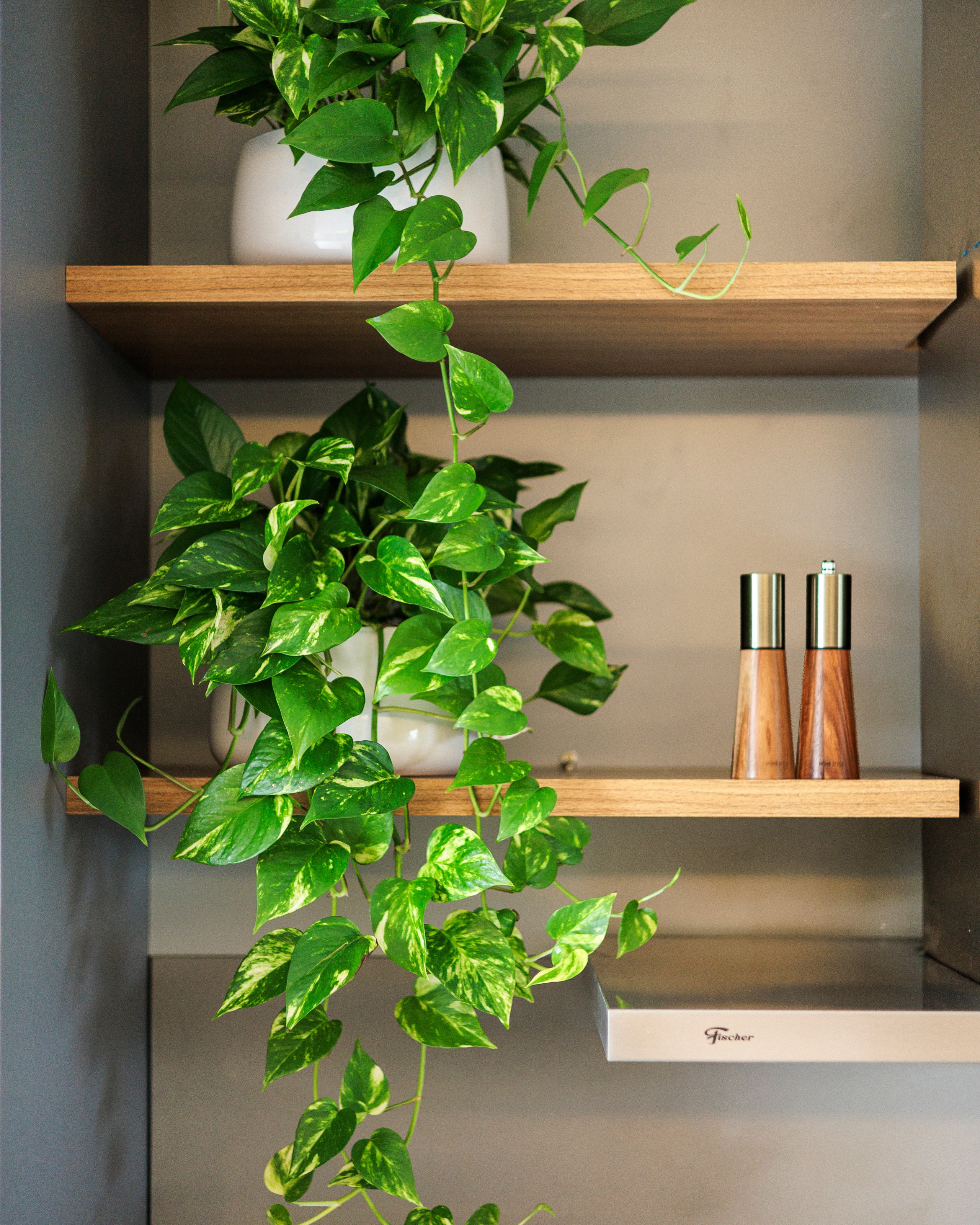 MJ Marcenaria. Caio Almeida