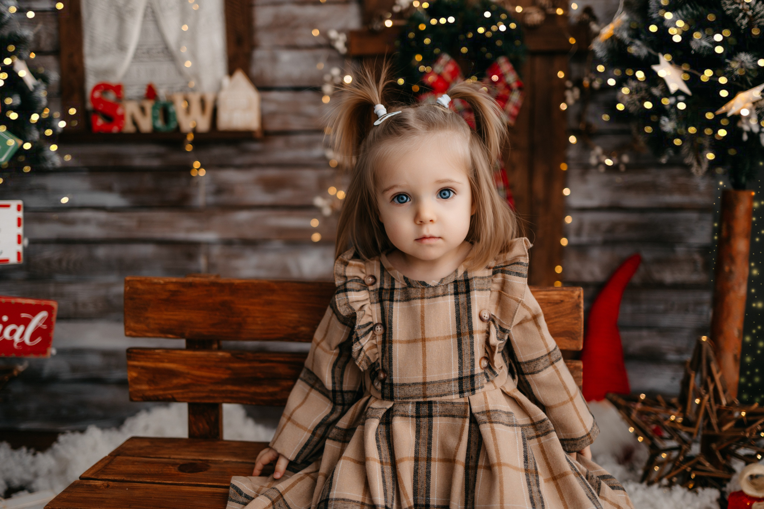 Boże Narodzenie 2023. Fotograf Siedlce