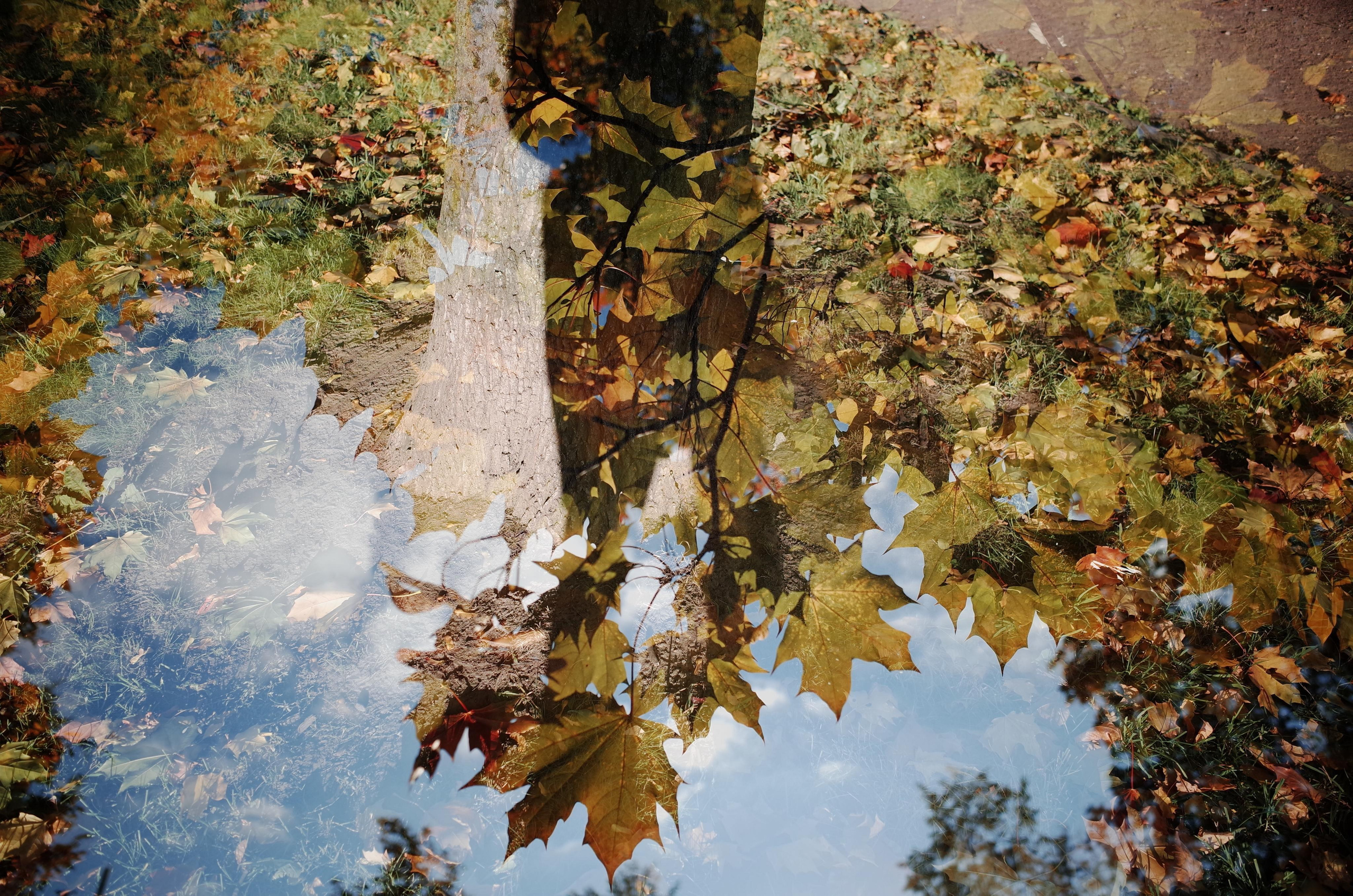 Demeter Dreams. Victoria Dini. Art photography in London / Folkestone, UK