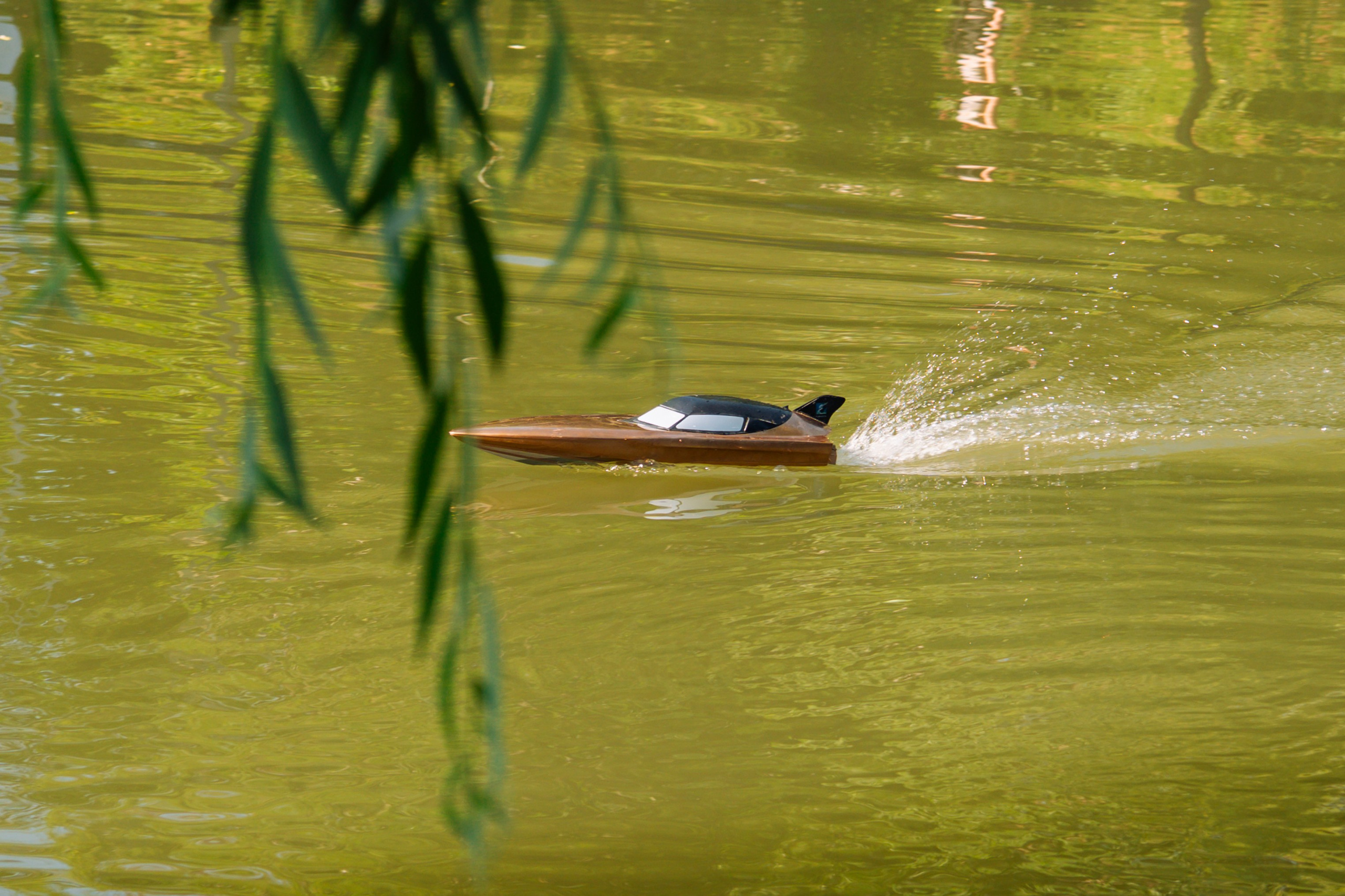 06.04 Bega Boat Race. Cozac Cristian Photographer