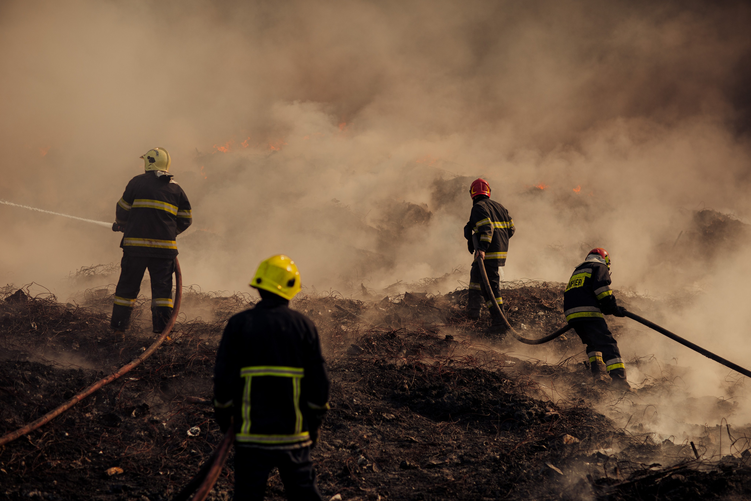 Киносеанс в Школе Фотографии Романа Рыбалёва. Школа Фотографии Романа Рыбалёва. Город Кишинёв, Молдова