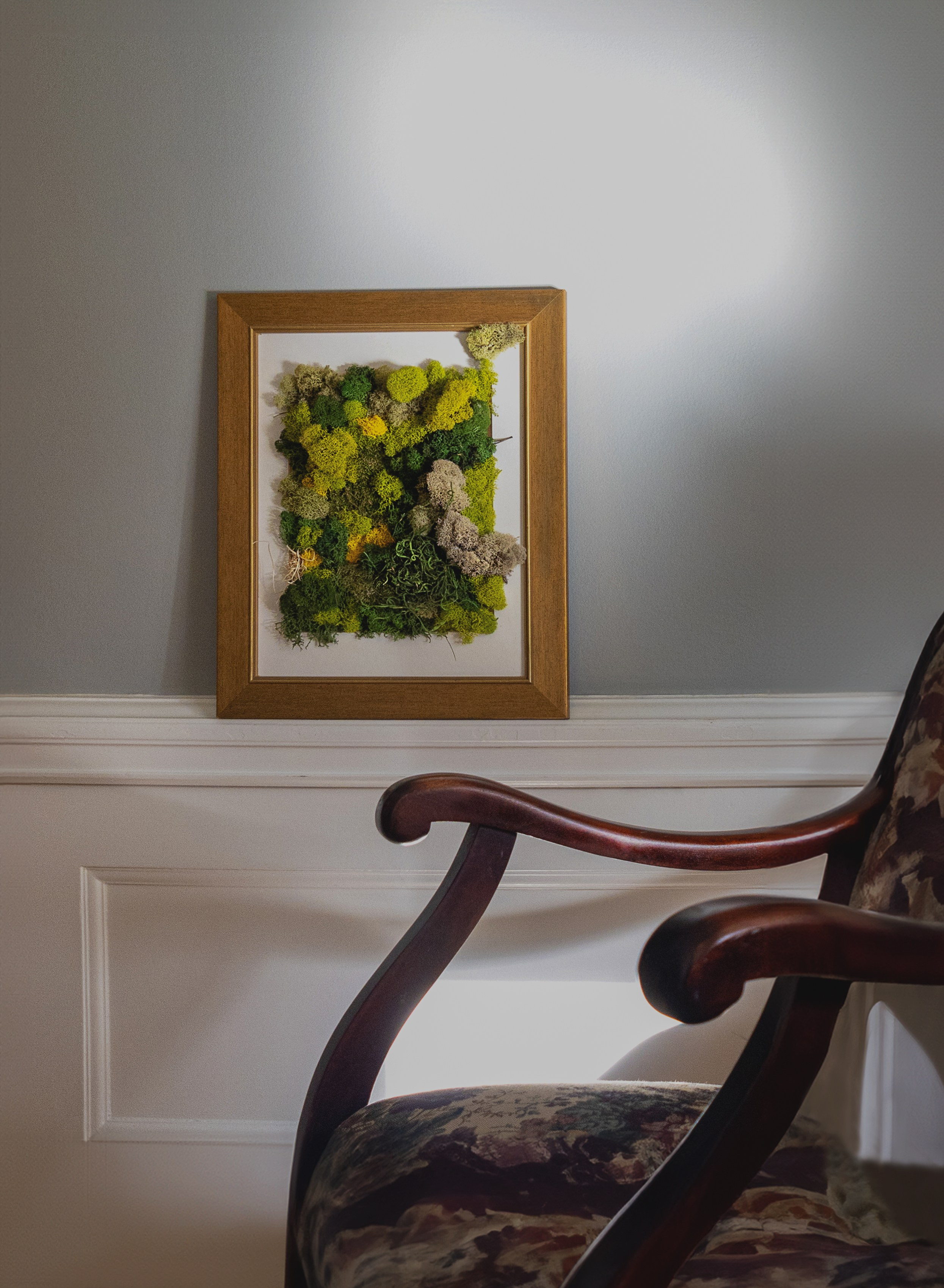 Anna & Moss magic, Content. Yana Bobrova | Artistic Photography