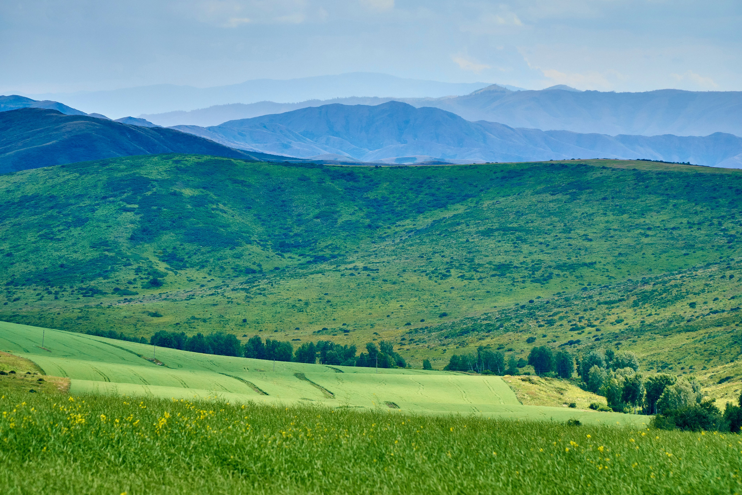 Buchtarma (Kazachstan). Andriej Szypilow - Fotografia & Wideografia