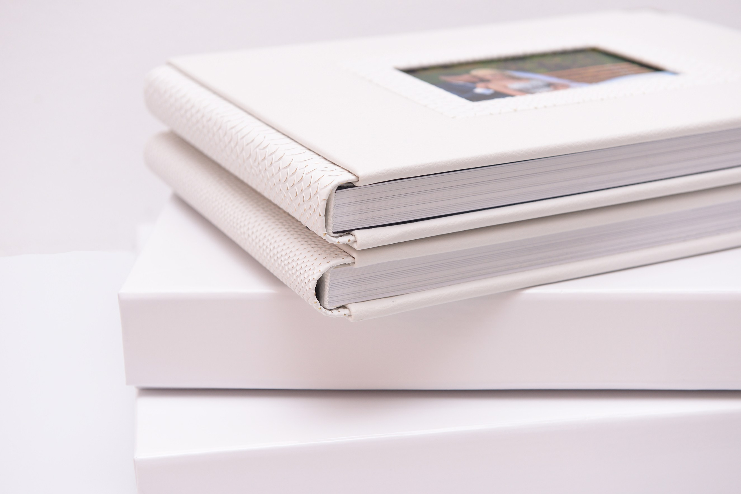 Albume Bogdan Palenciuc