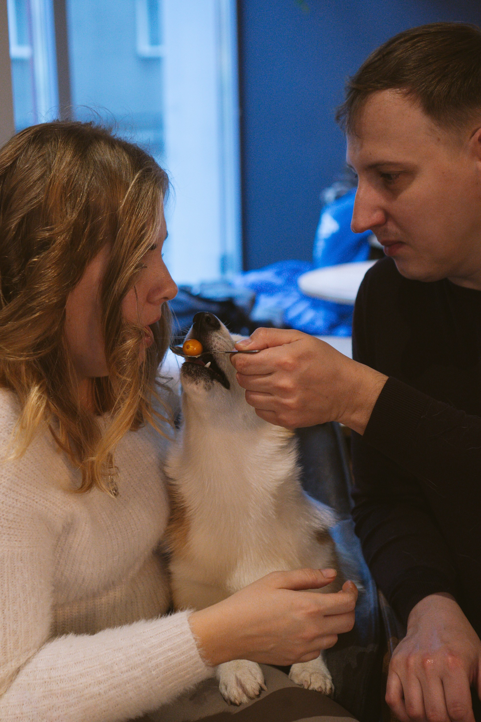 Maarika, Jegor and their Luna, Pembroke Welsh Corgi. Kat Laisaar — Pet photographer in Tallinn