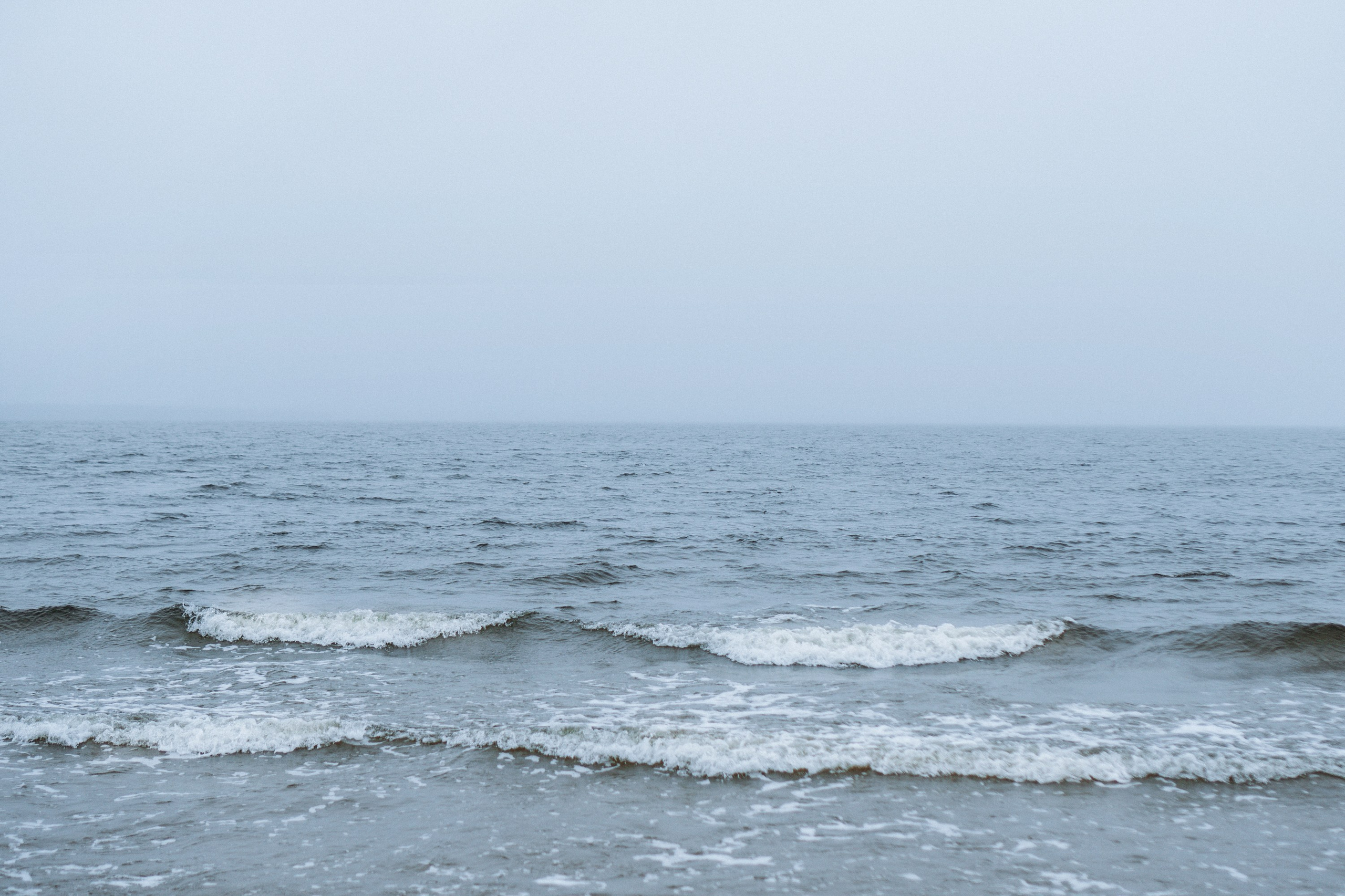 Polina and her Dakota, Australian Cattle Dog. Kat Laisaar — Pet photographer in Tallinn