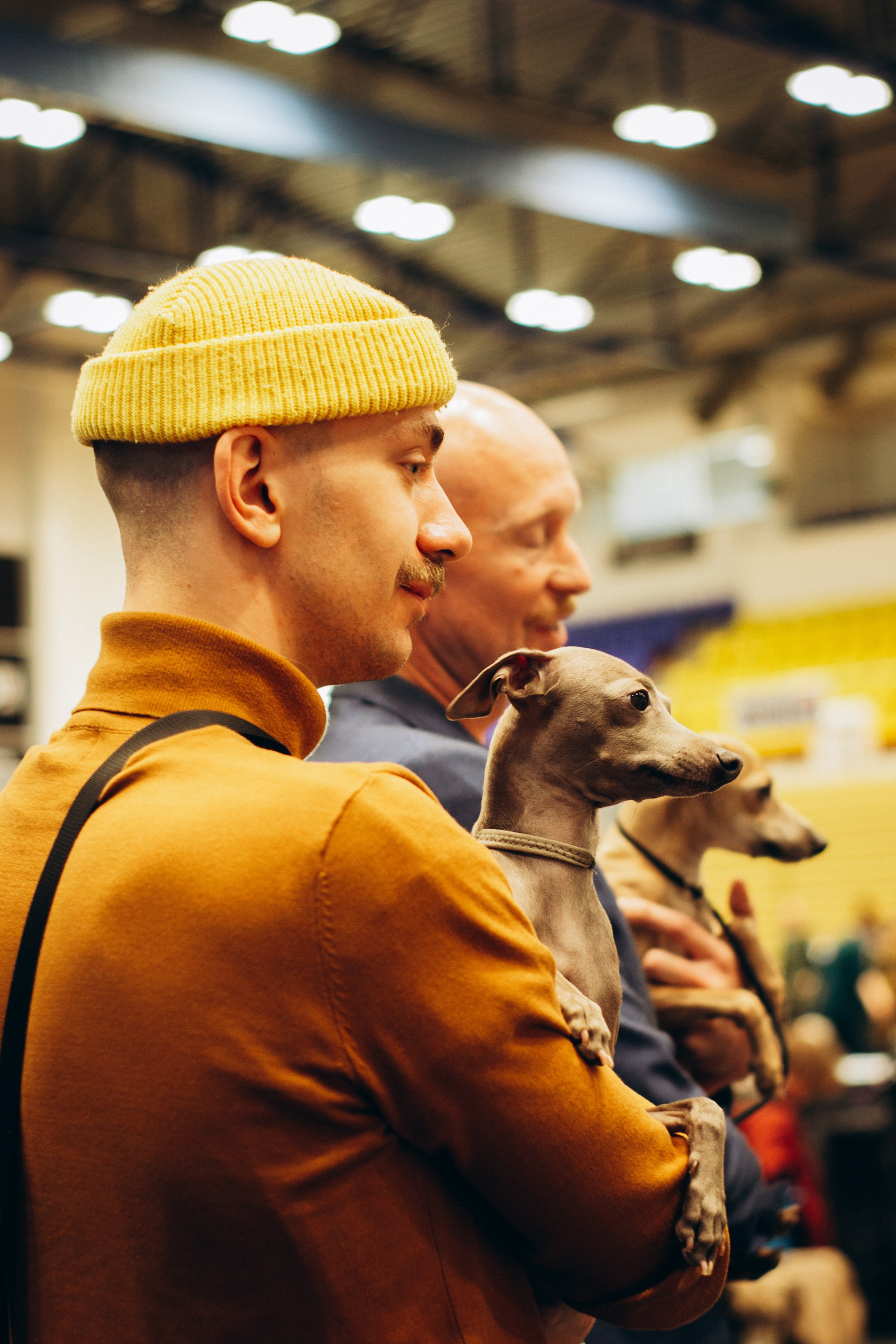 Rakvere Dog Show. Kat Laisaar — Pet photographer in Tallinn
