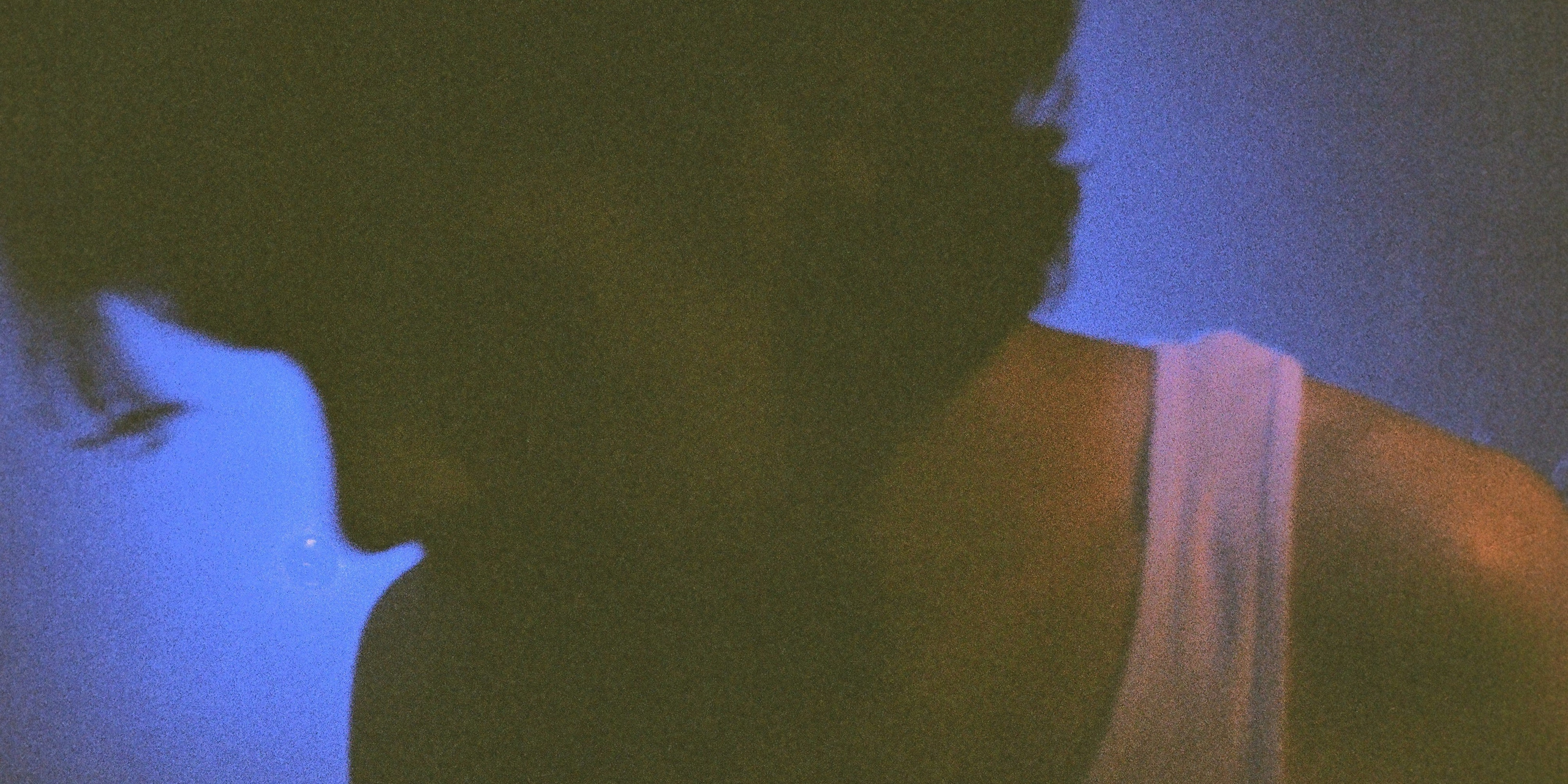 35mm Photography by Brad Zgonena based in Chicago, IL