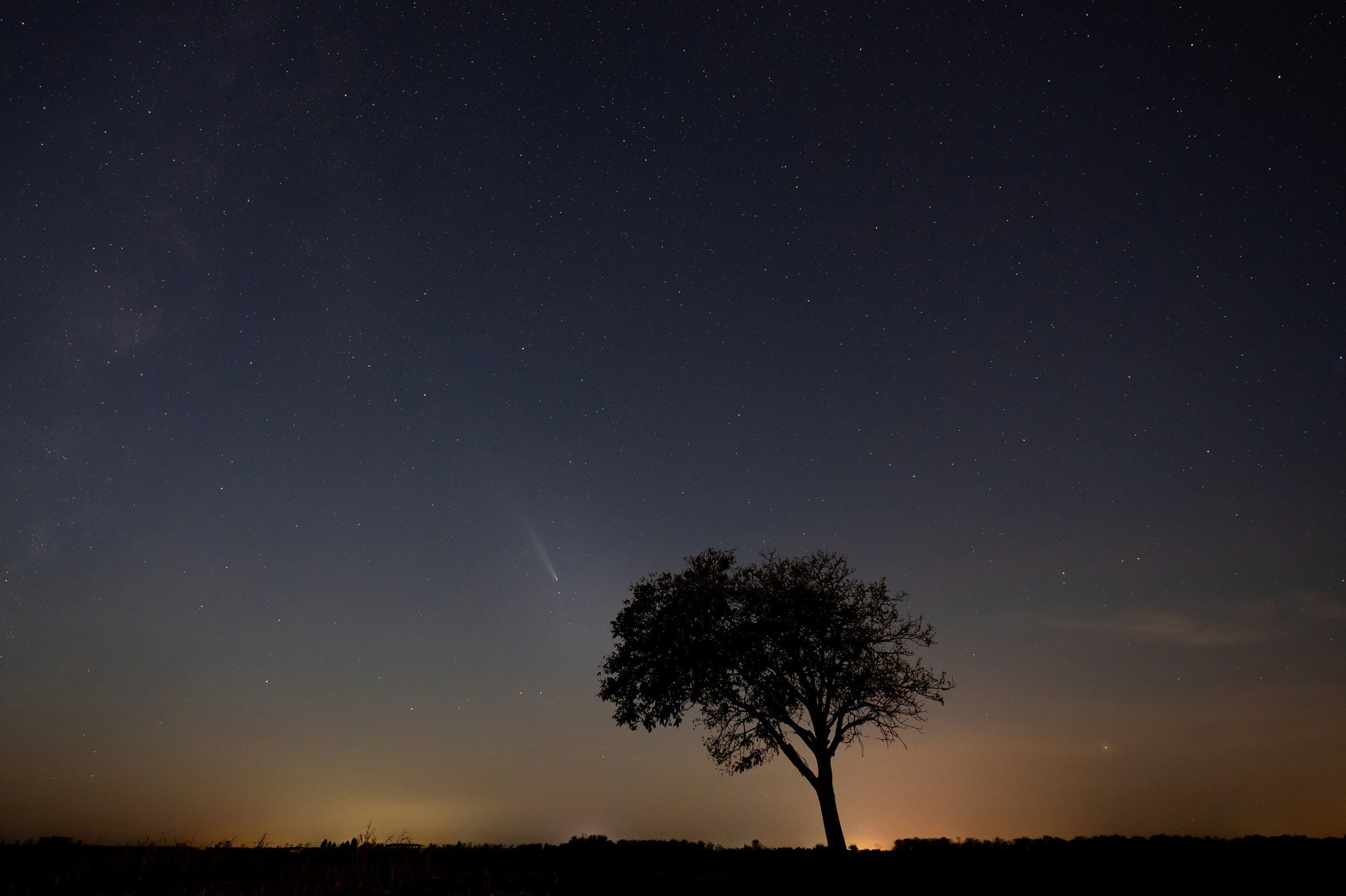 Landscape photography. Wedding photography