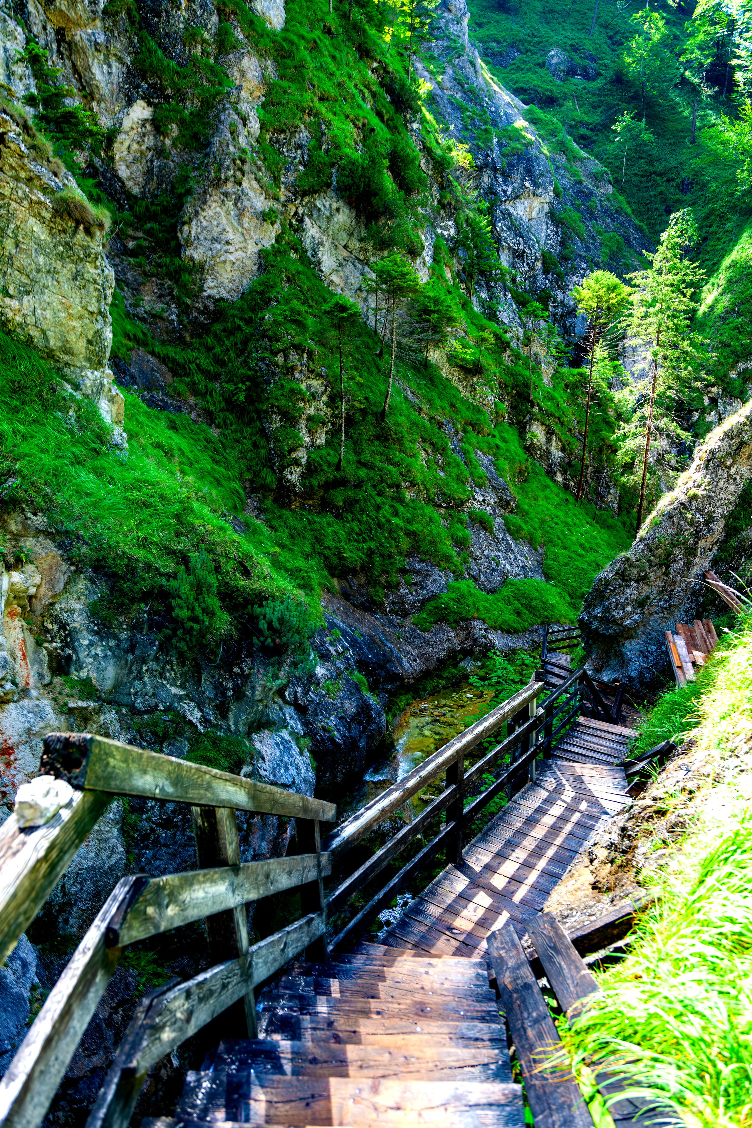 193.Wasserloch Klamm.Palfau.18.8.2025. Путешествия в формате 360......