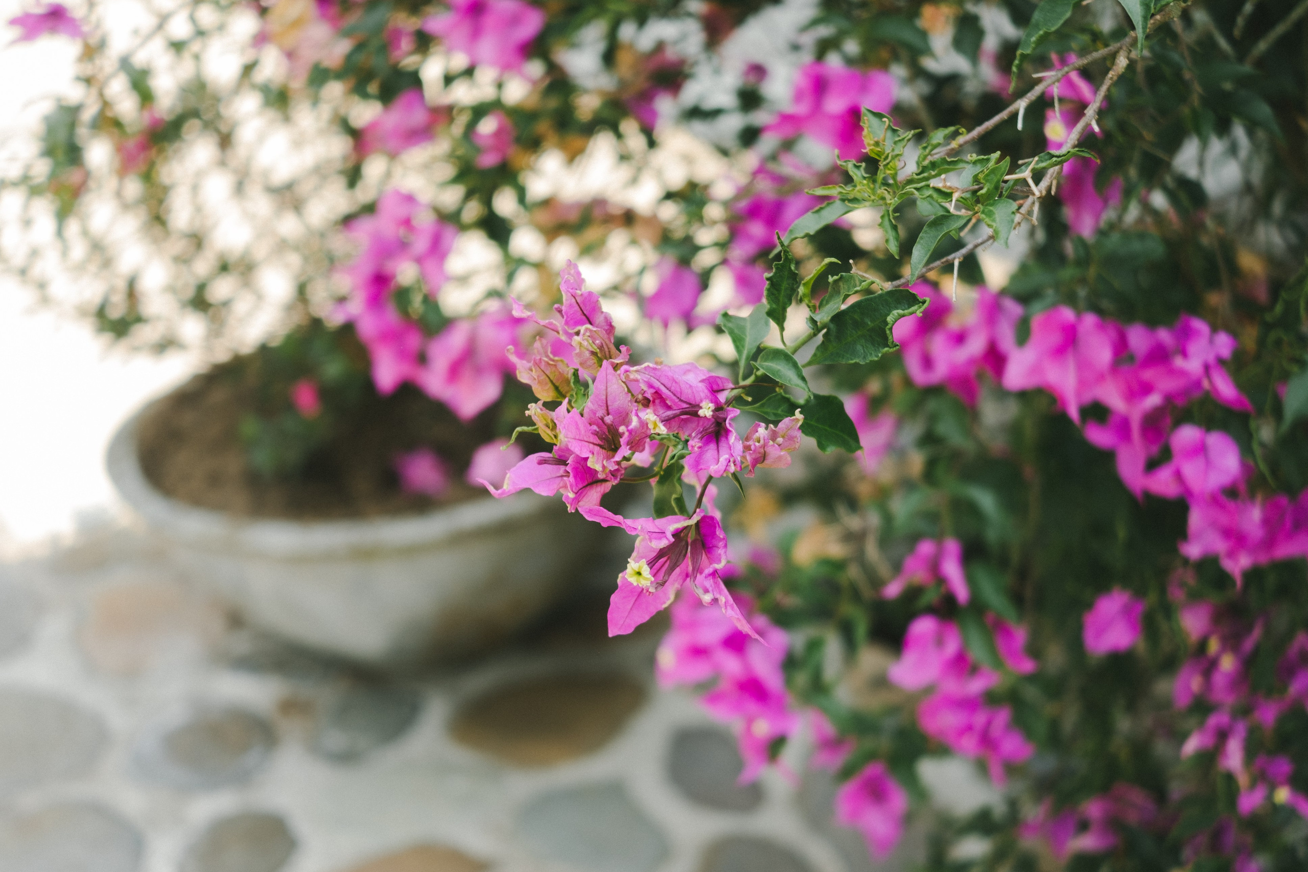 Fotografía y video de bodas en Pereira - Colombia. Rafael Melo Weddings