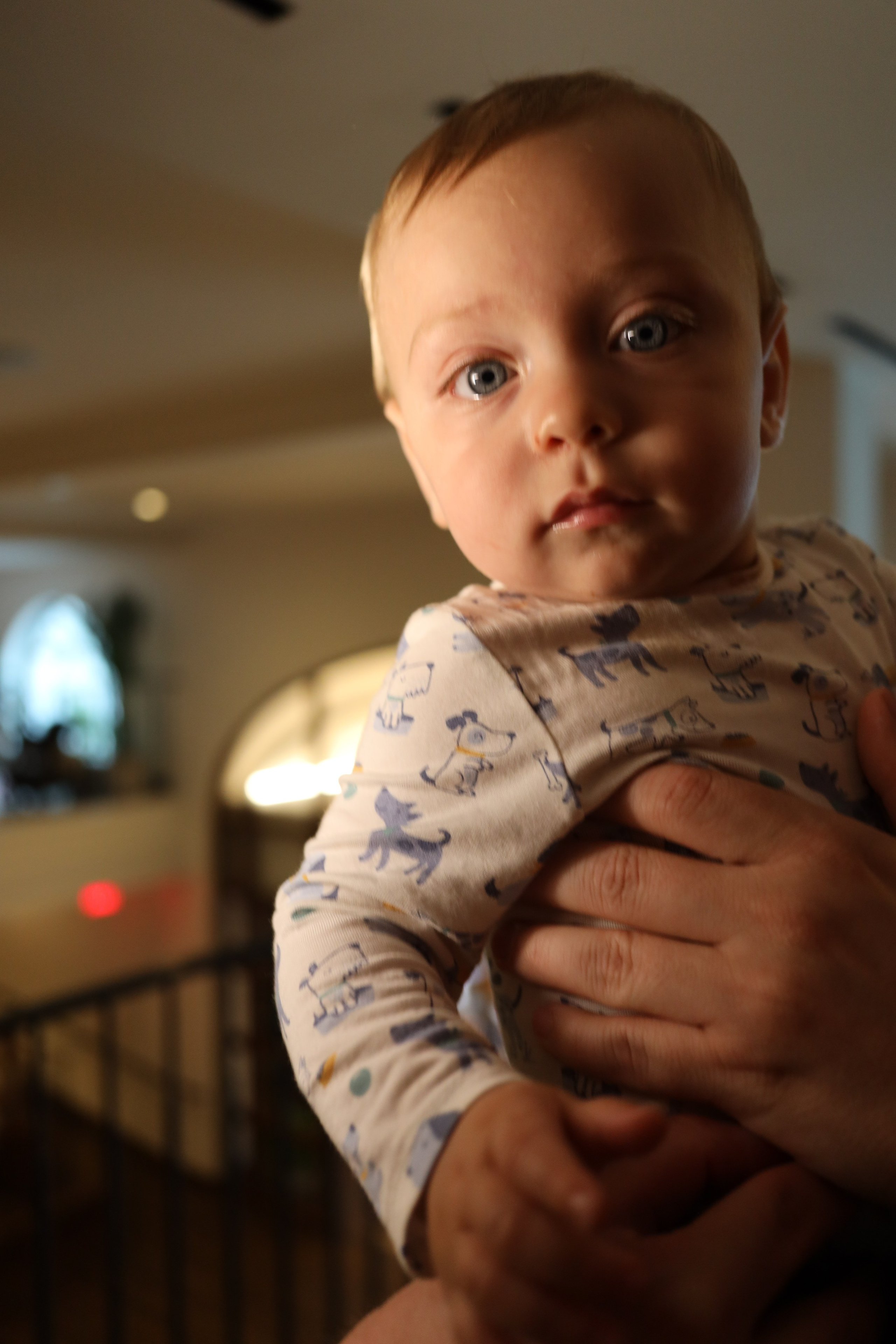 Colour. Sonny Photos