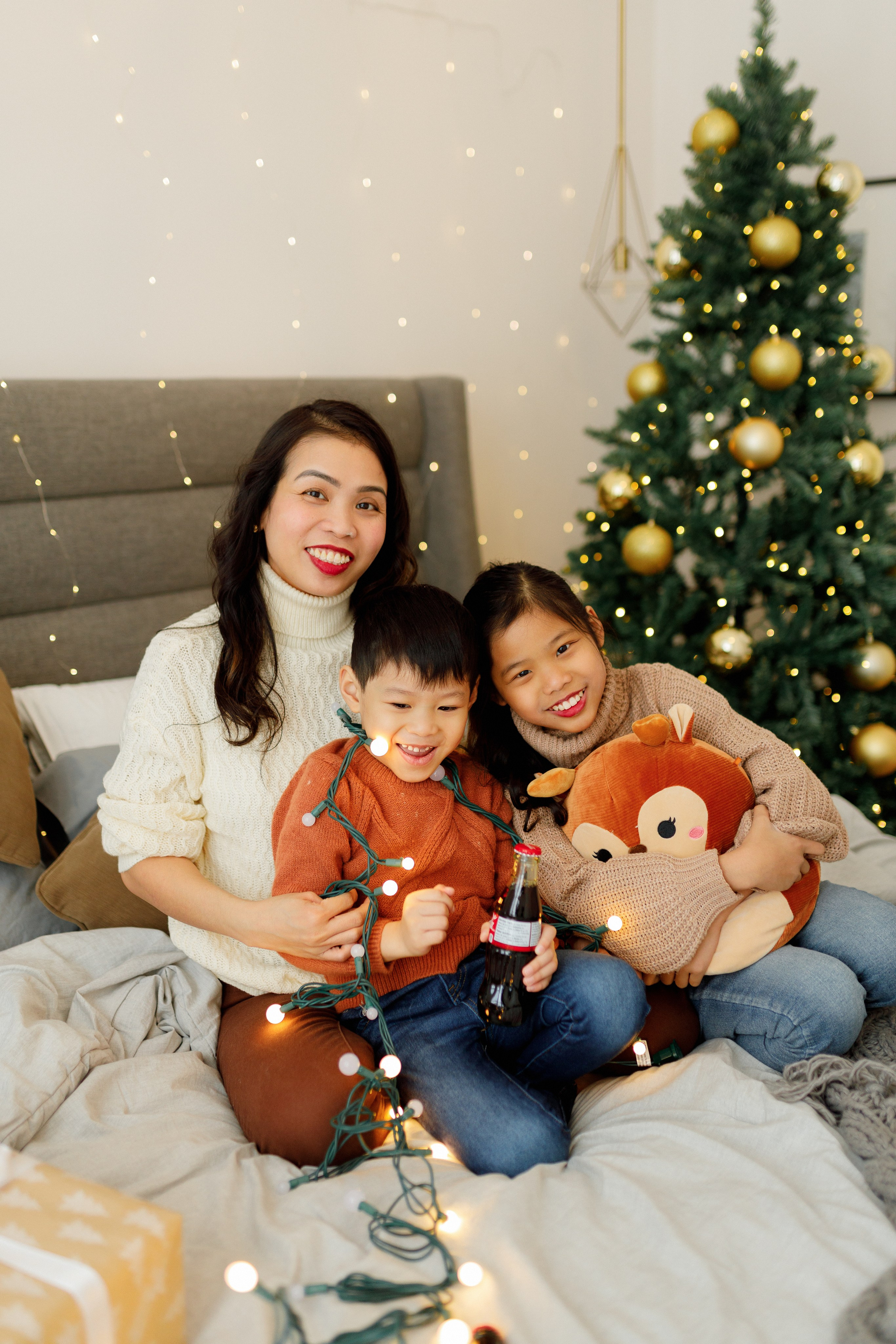 Christmas minis 2025. Home