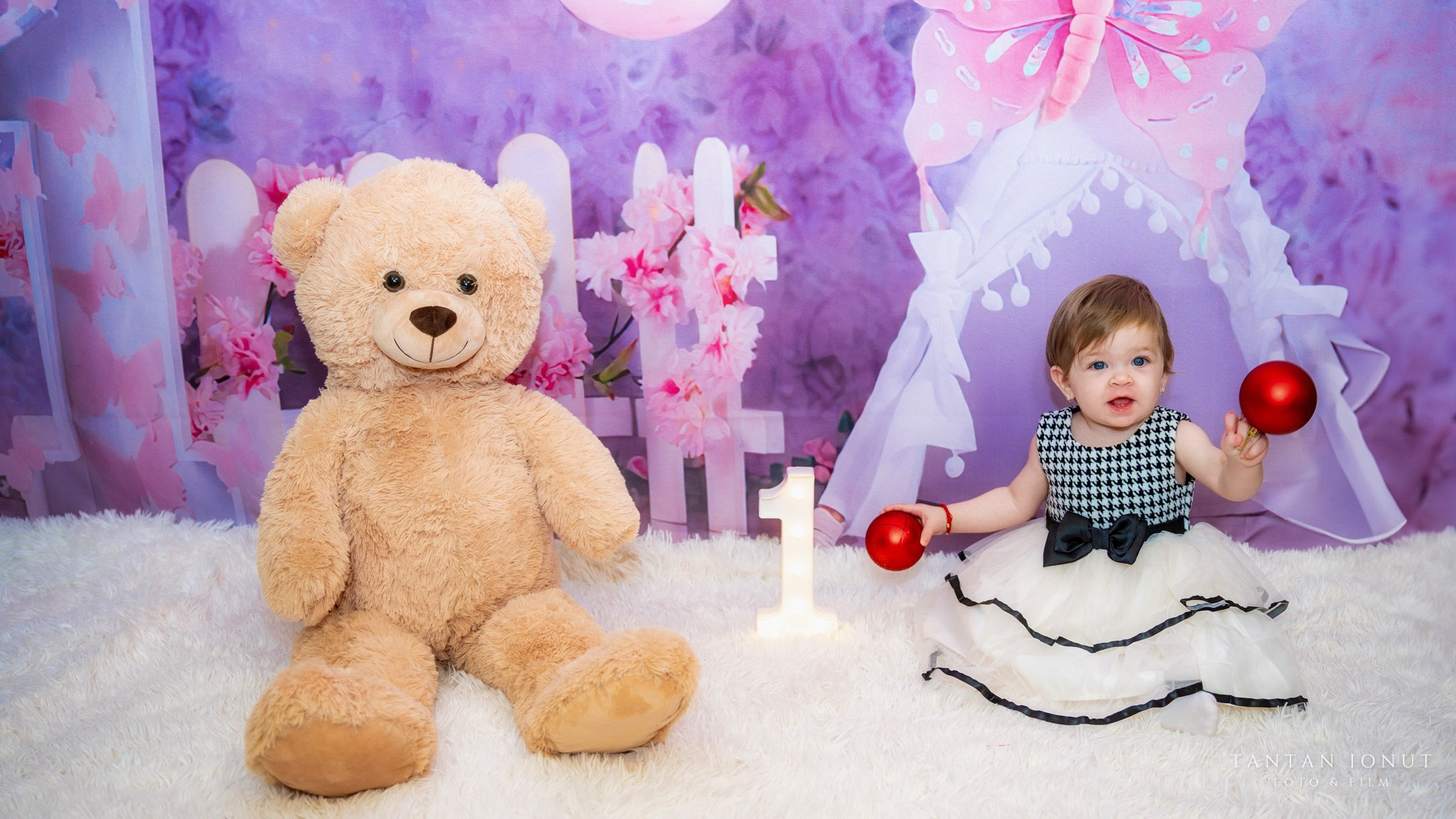 Sedinta foto Smash The Cake 1 An Sofia. TANTAN IONUT FOTO & FILM