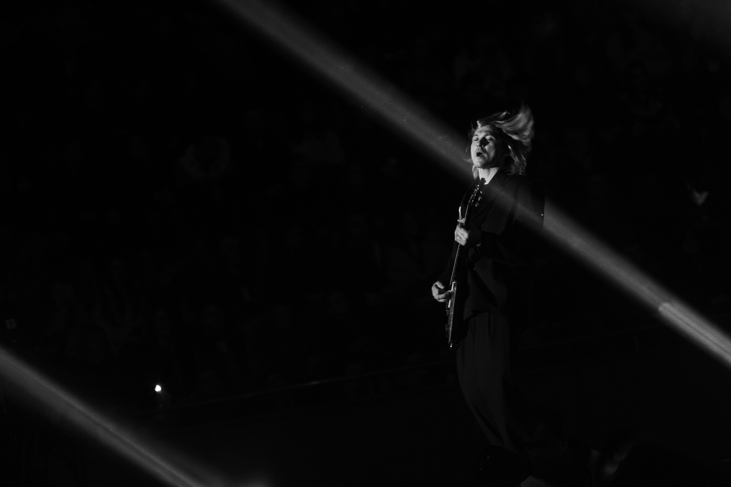 Antytila. Репортажний фотограф/анімаліст КИЇВ