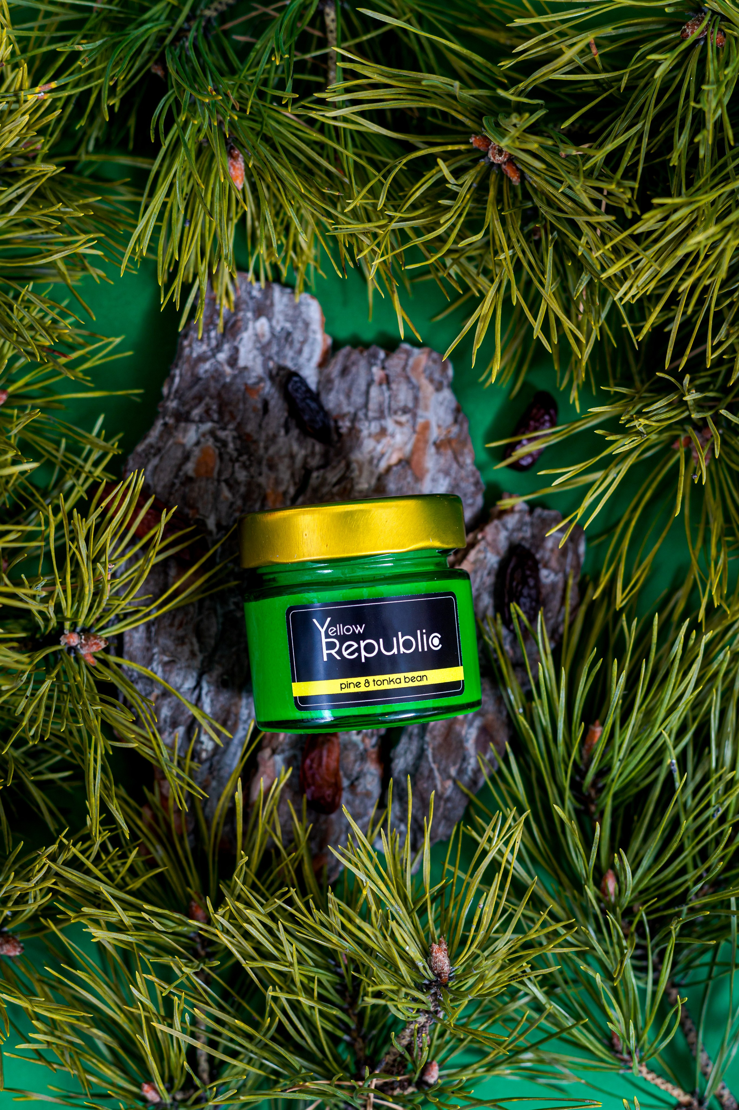 Velas con aroma a pino y haba tonka sobre un fondo verde con ramas de pino