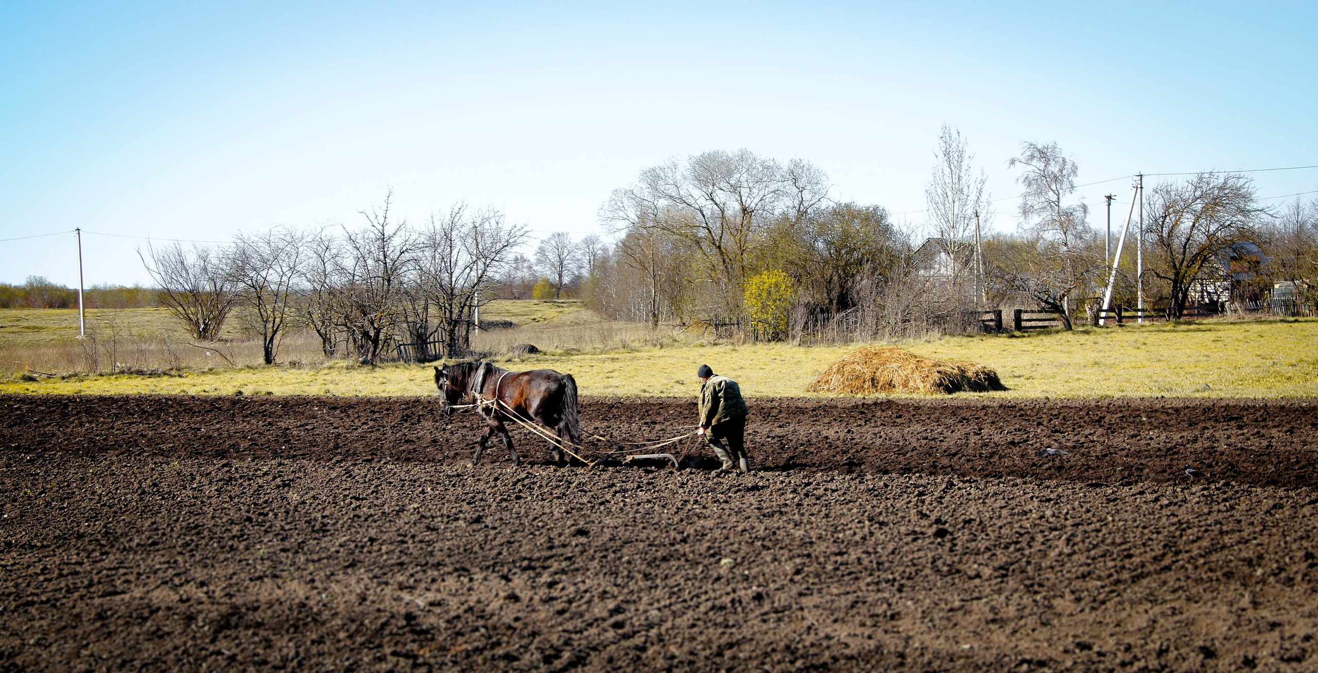 2012. Стрит-фотография, полная абсурда, идиотизма и красоты