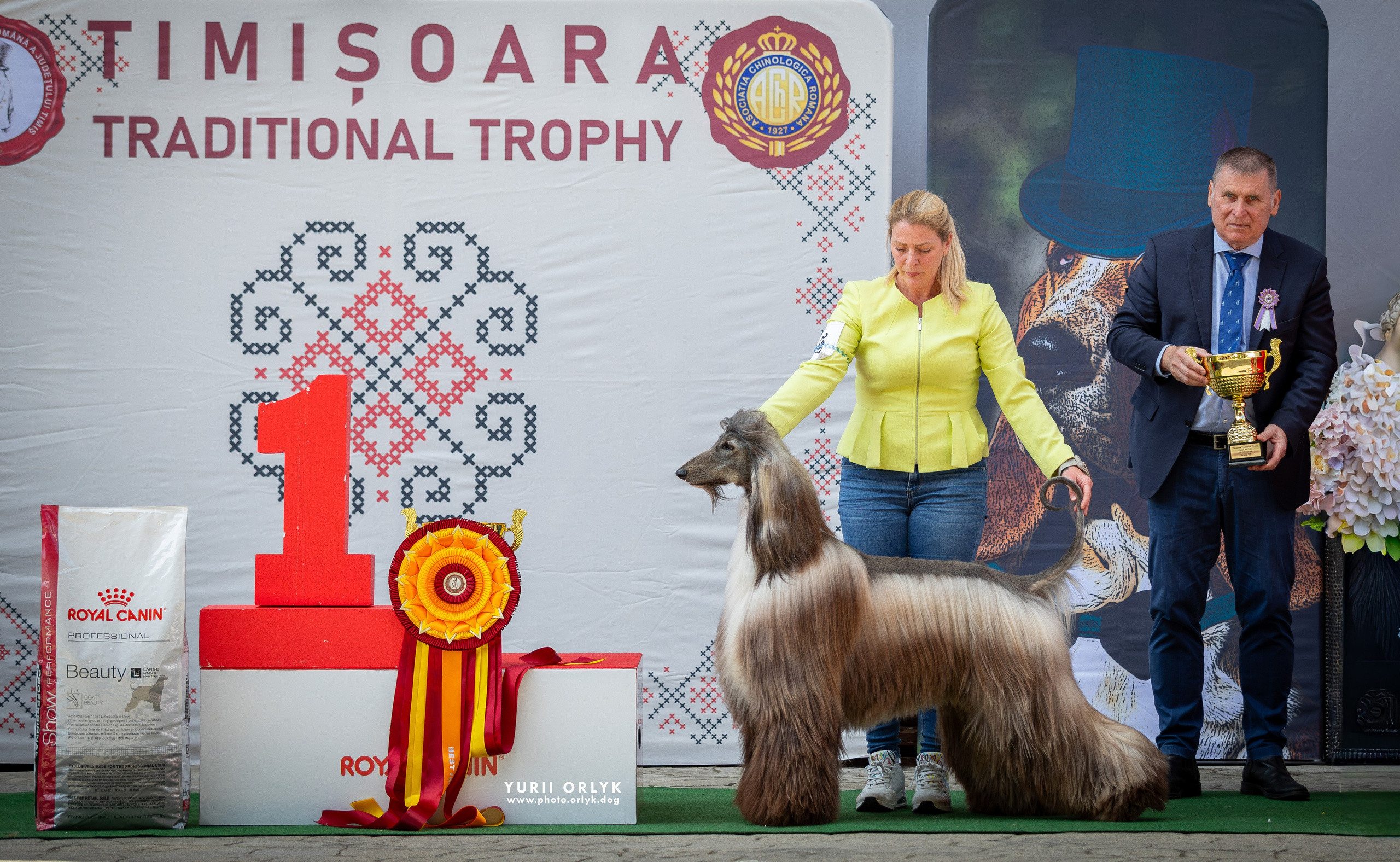 Dog Shows. Yurii Orlyk Photography