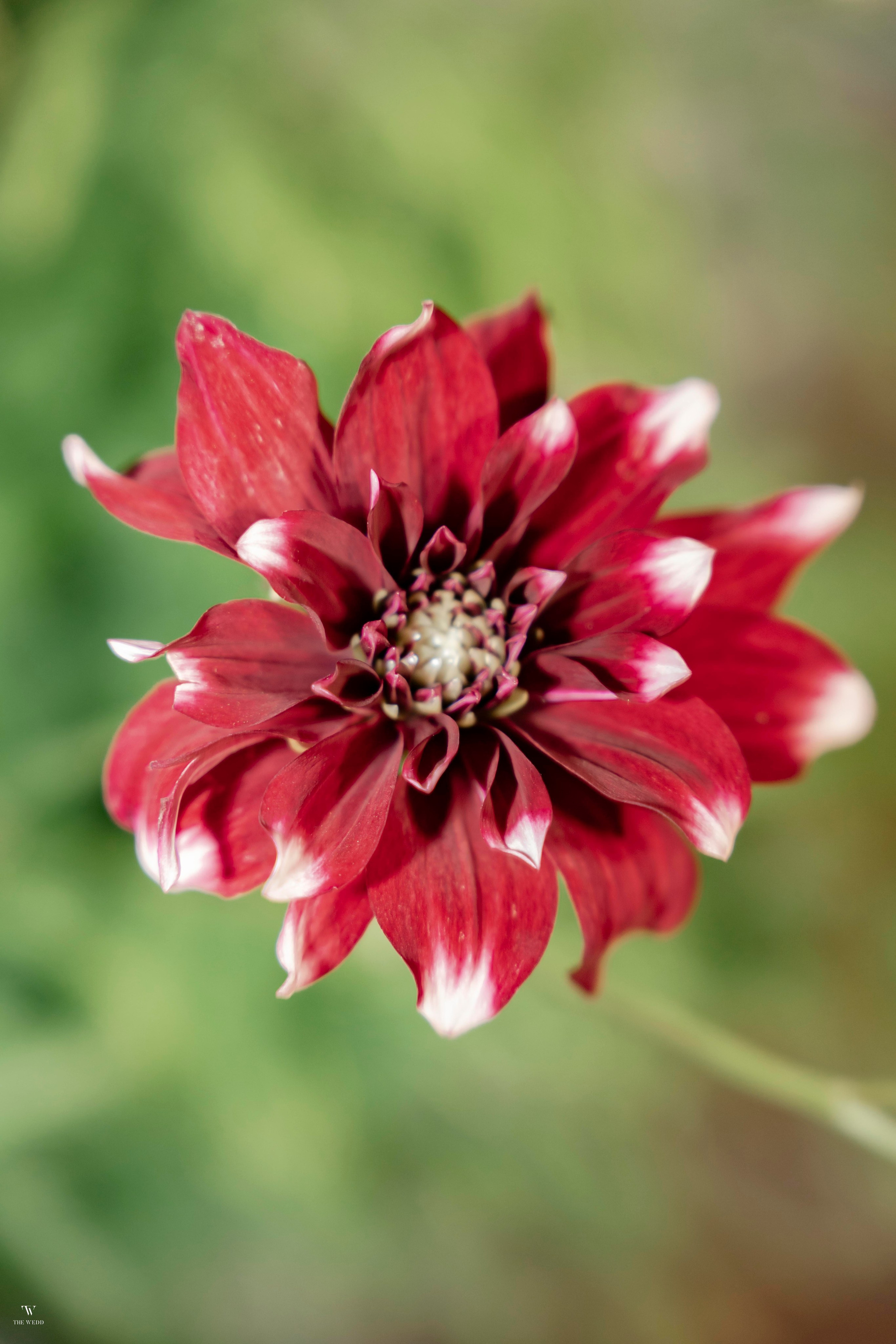 NGHIA & NGOC. WEDDING PHOTOGRAPHER IN VIETNAM