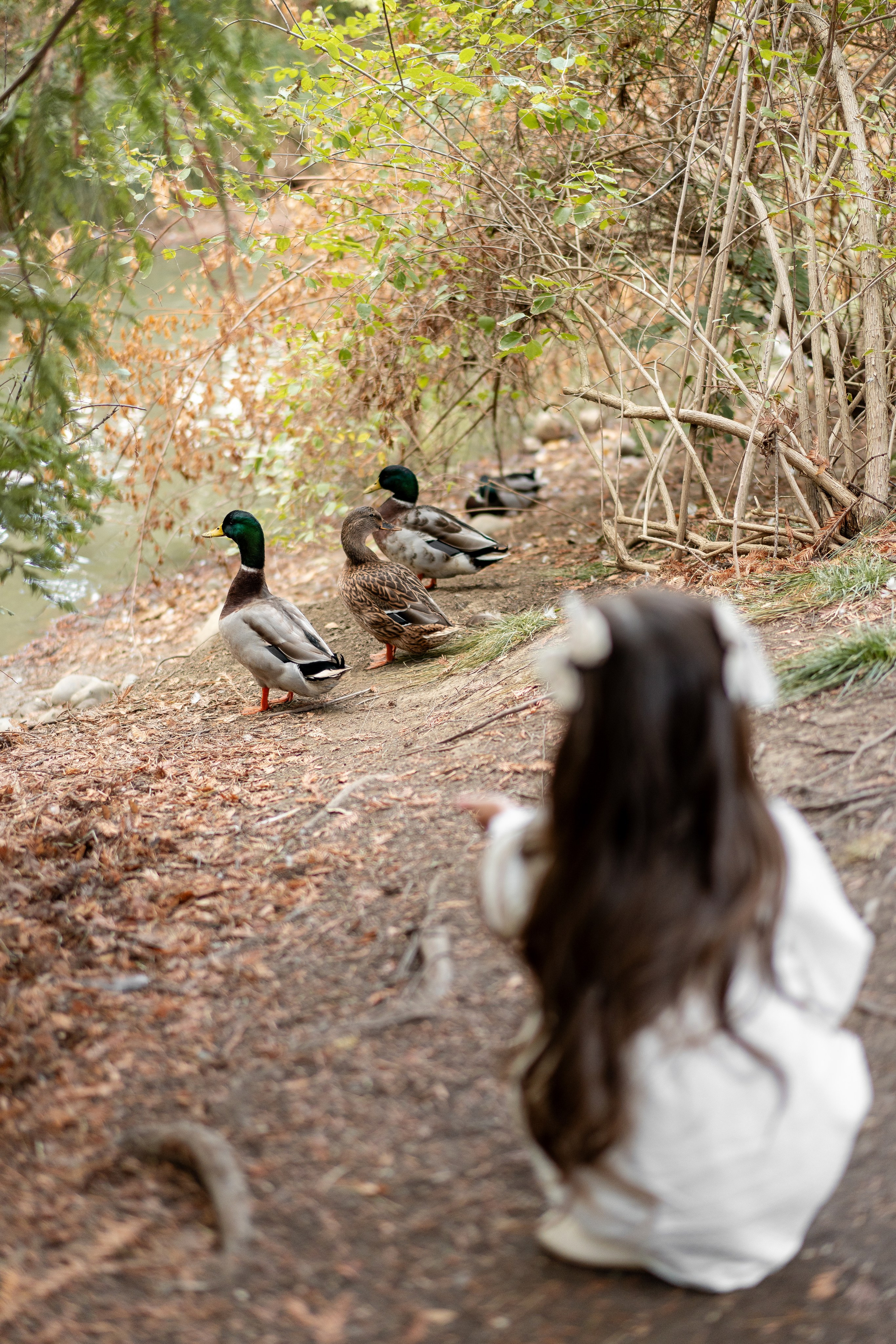 Mikhailov family. Family photographer in Sacramento | Sofia Pavenko