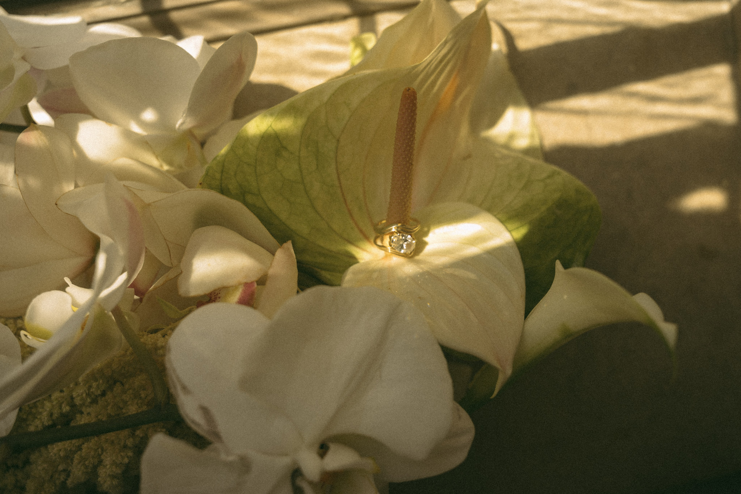 City Hall. San Francisco Wedding & Elopement Photographeк | photography_of.nadia