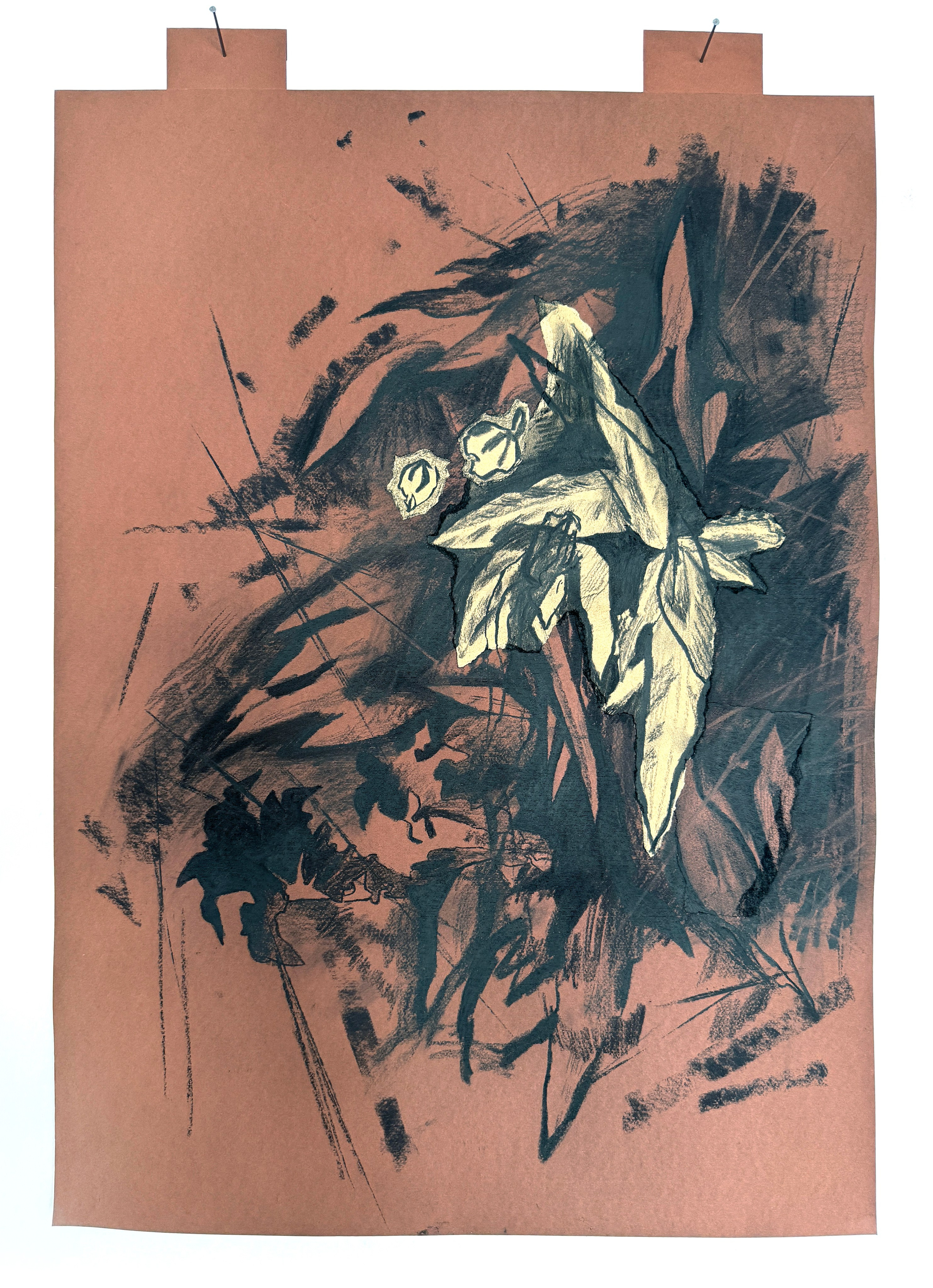 DRAWINGS. Artist Masha Neverova