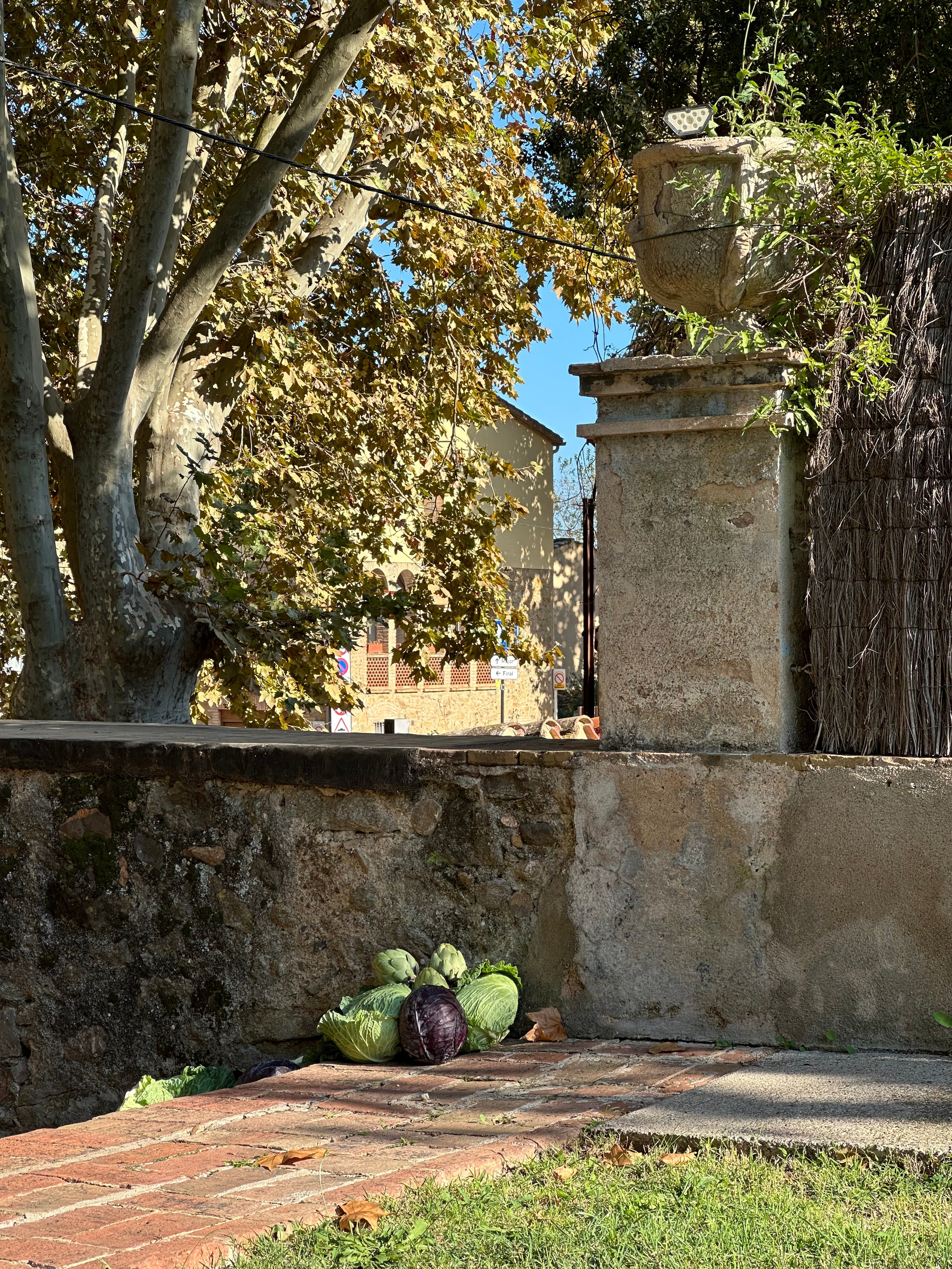 Boda Gemma & Lluís- Blumen by G