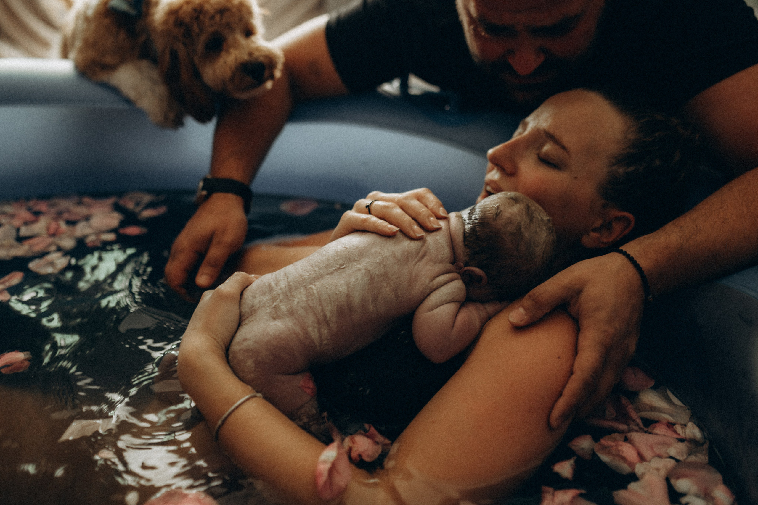 Премии. Fotografa de família e crianças em Florianópolis SC Daria Ermolaev