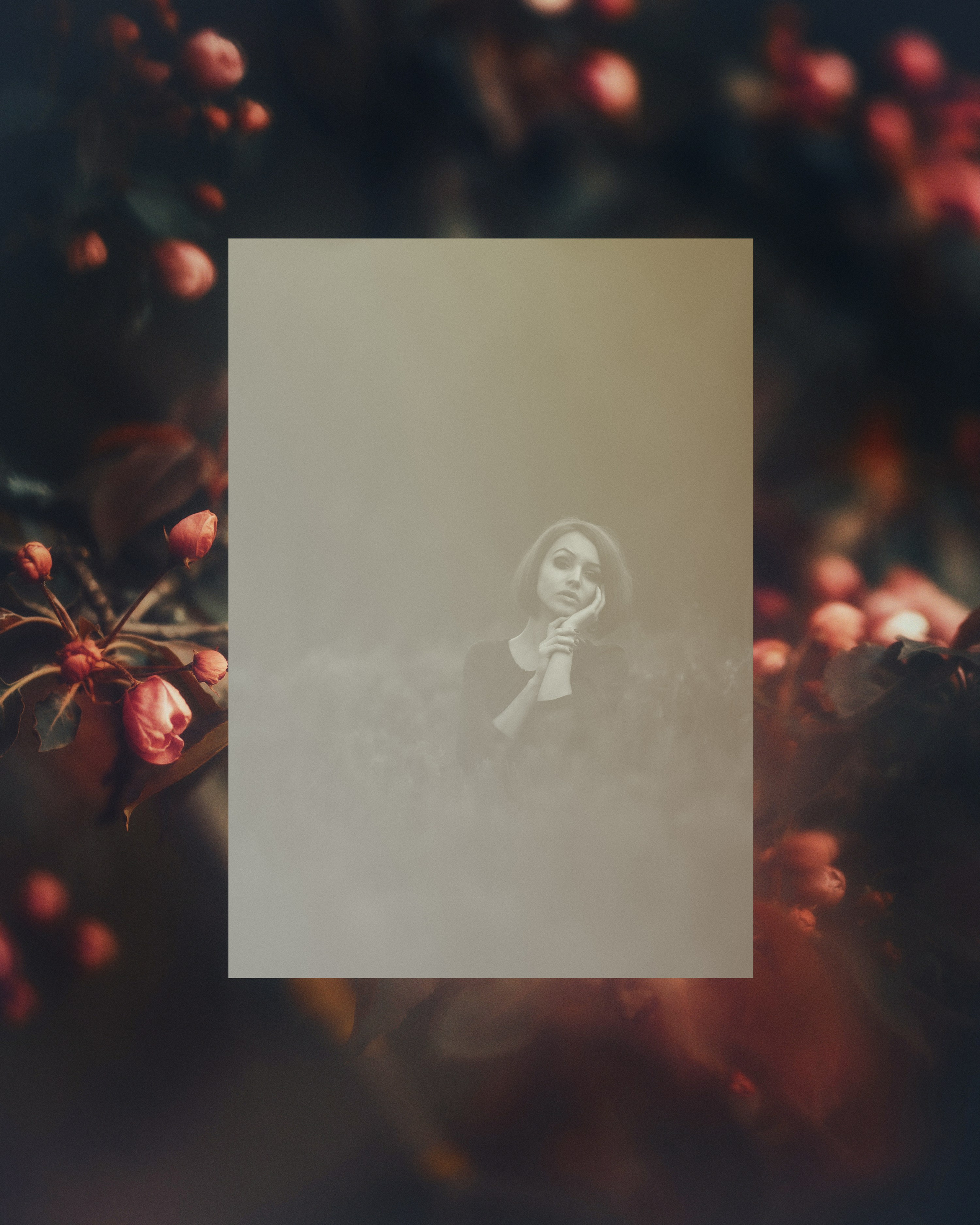 33. Фотограф Андрей Друк