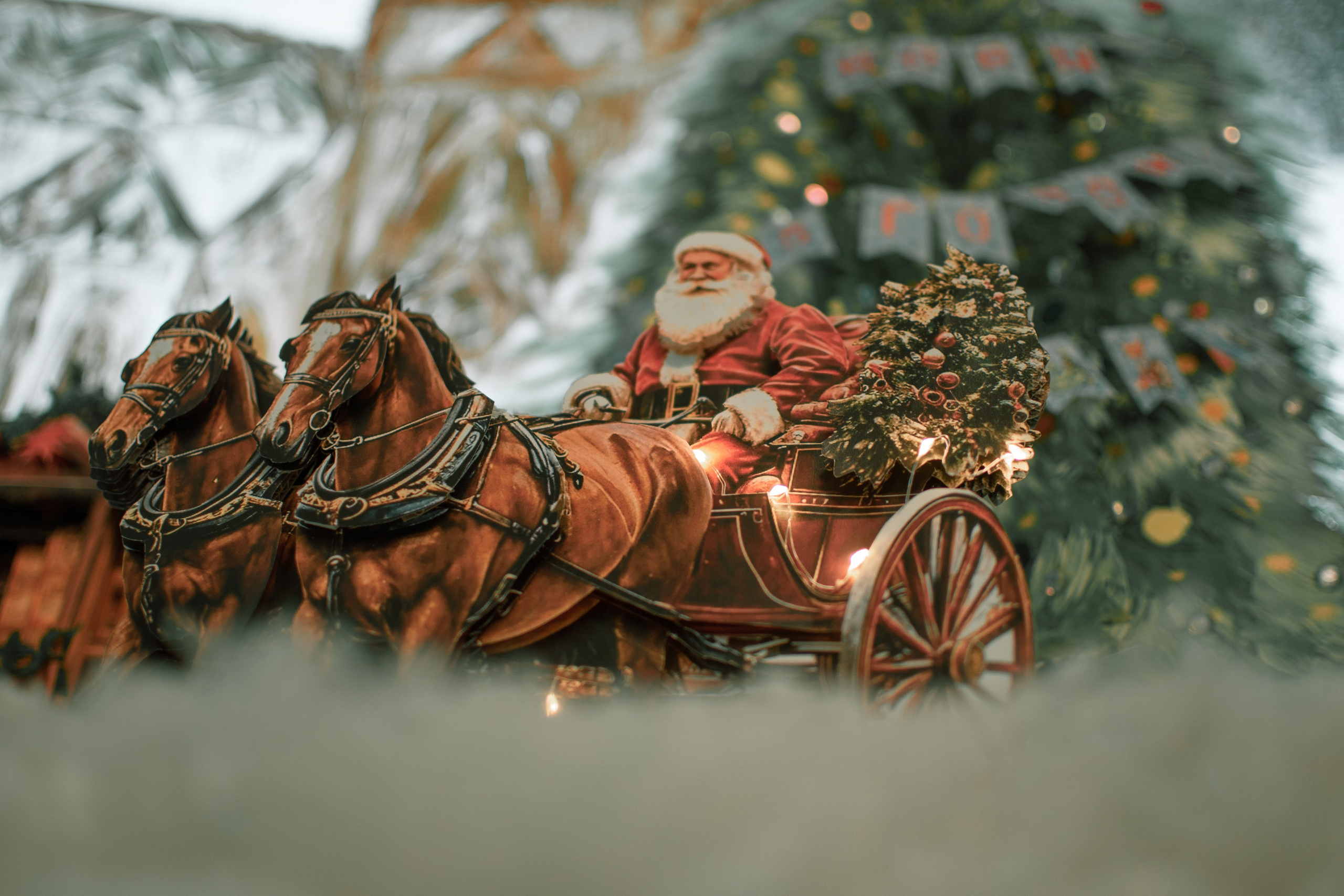 Проект. Семейный и детский фотограф