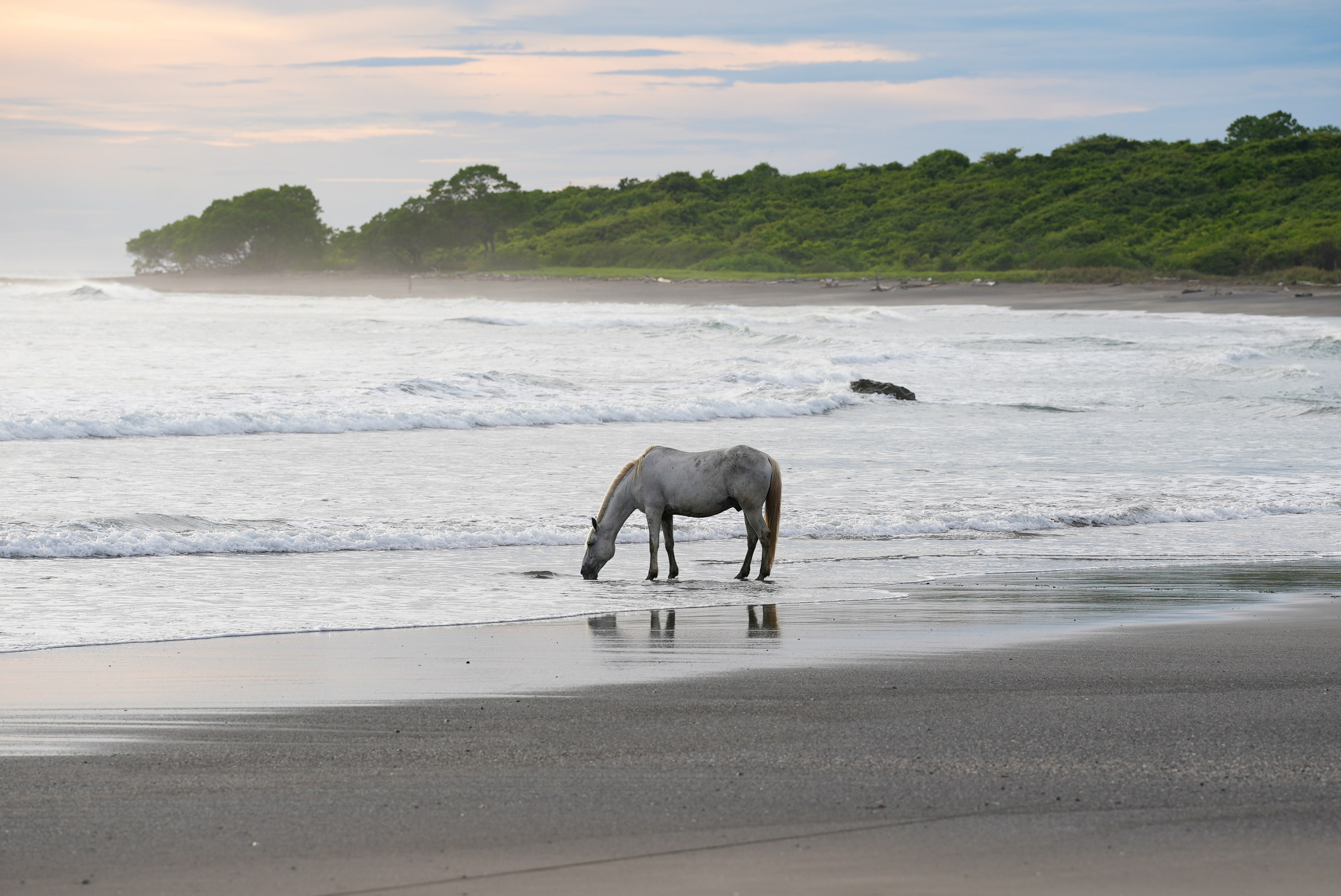 LOVE STORY - PAARE. Fotostudio in Metzingen