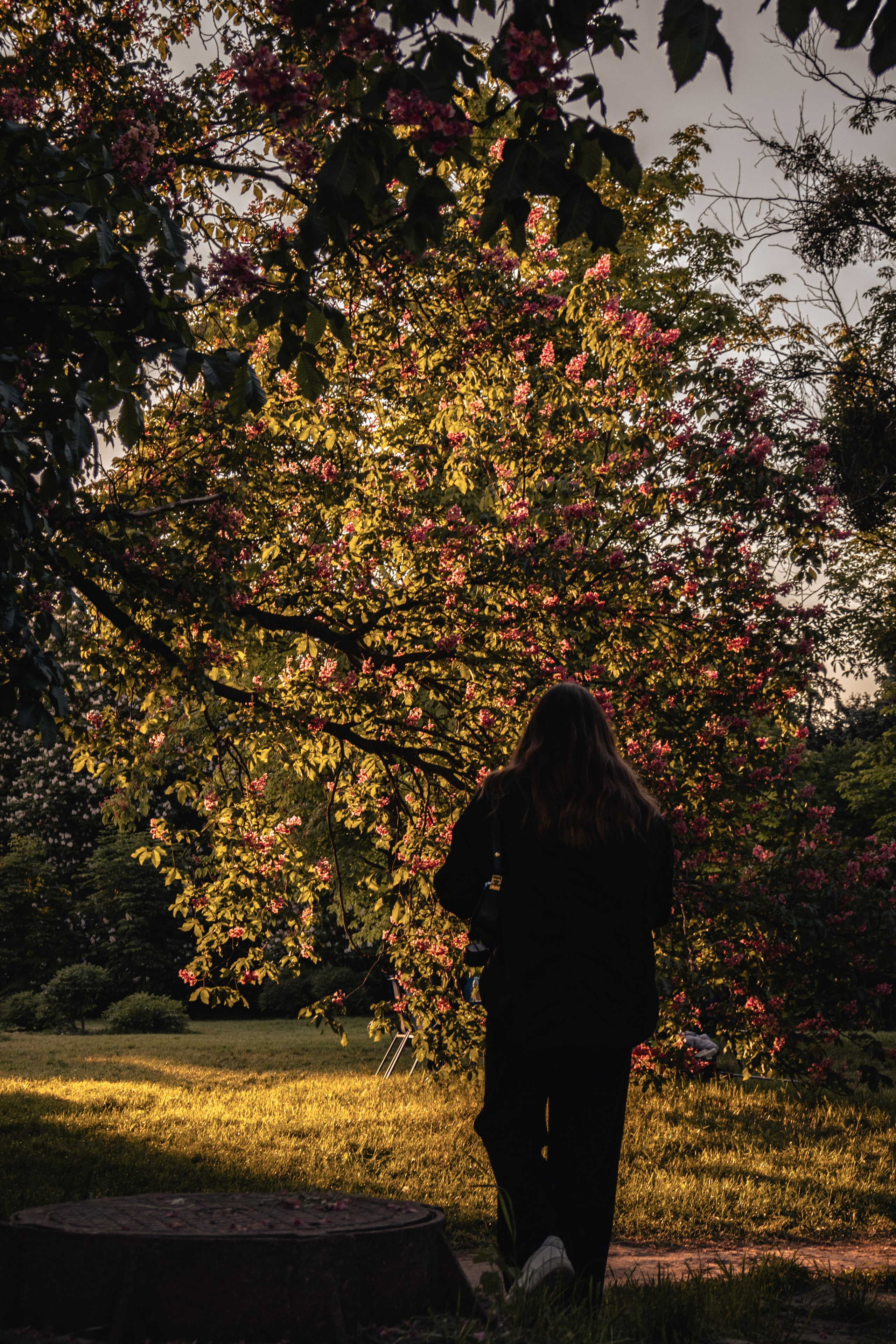 Alisa. Дизайнер и Фотограф в Кишинёве Бусуйок Станислав