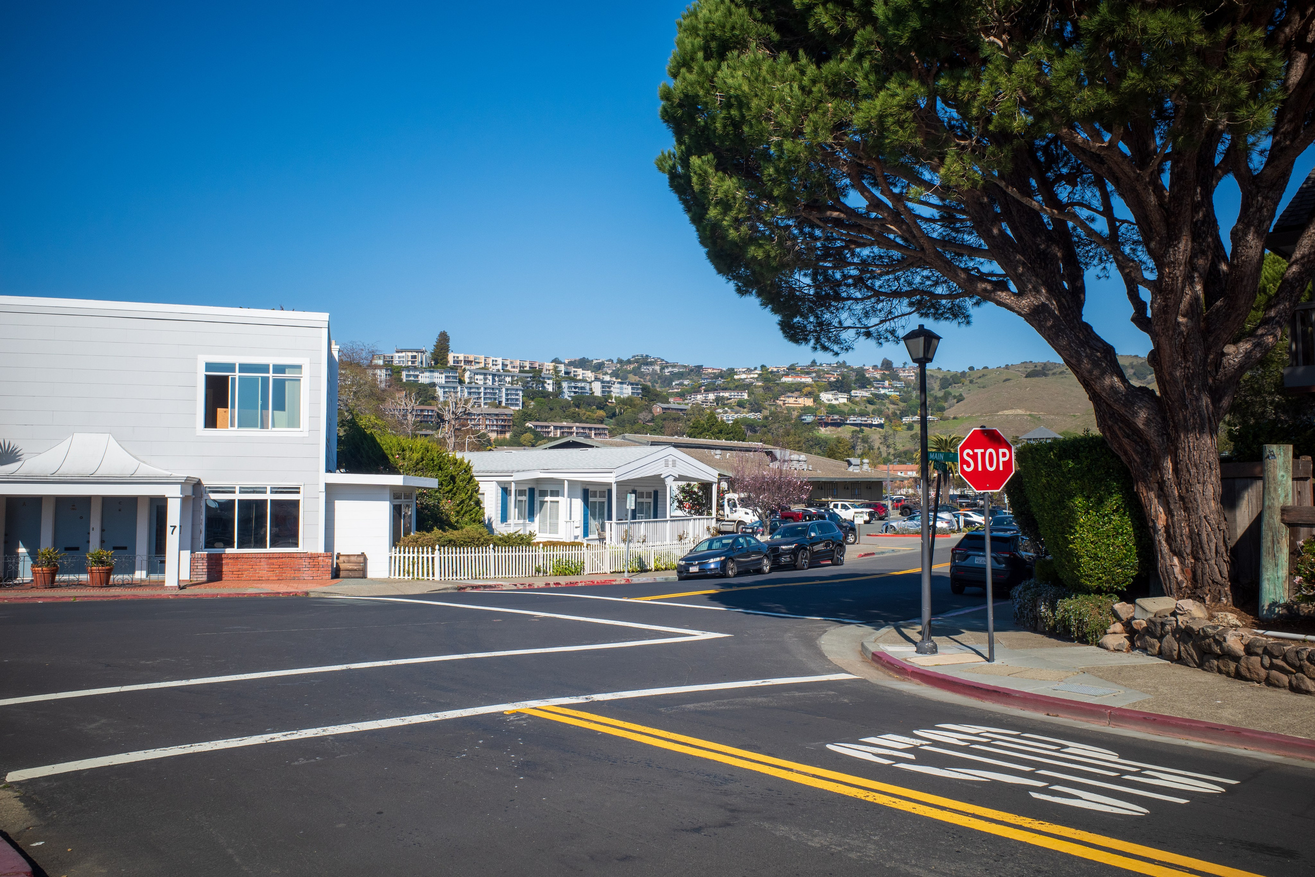 San Francisco. Aleks.photo | Book a photoshoot
