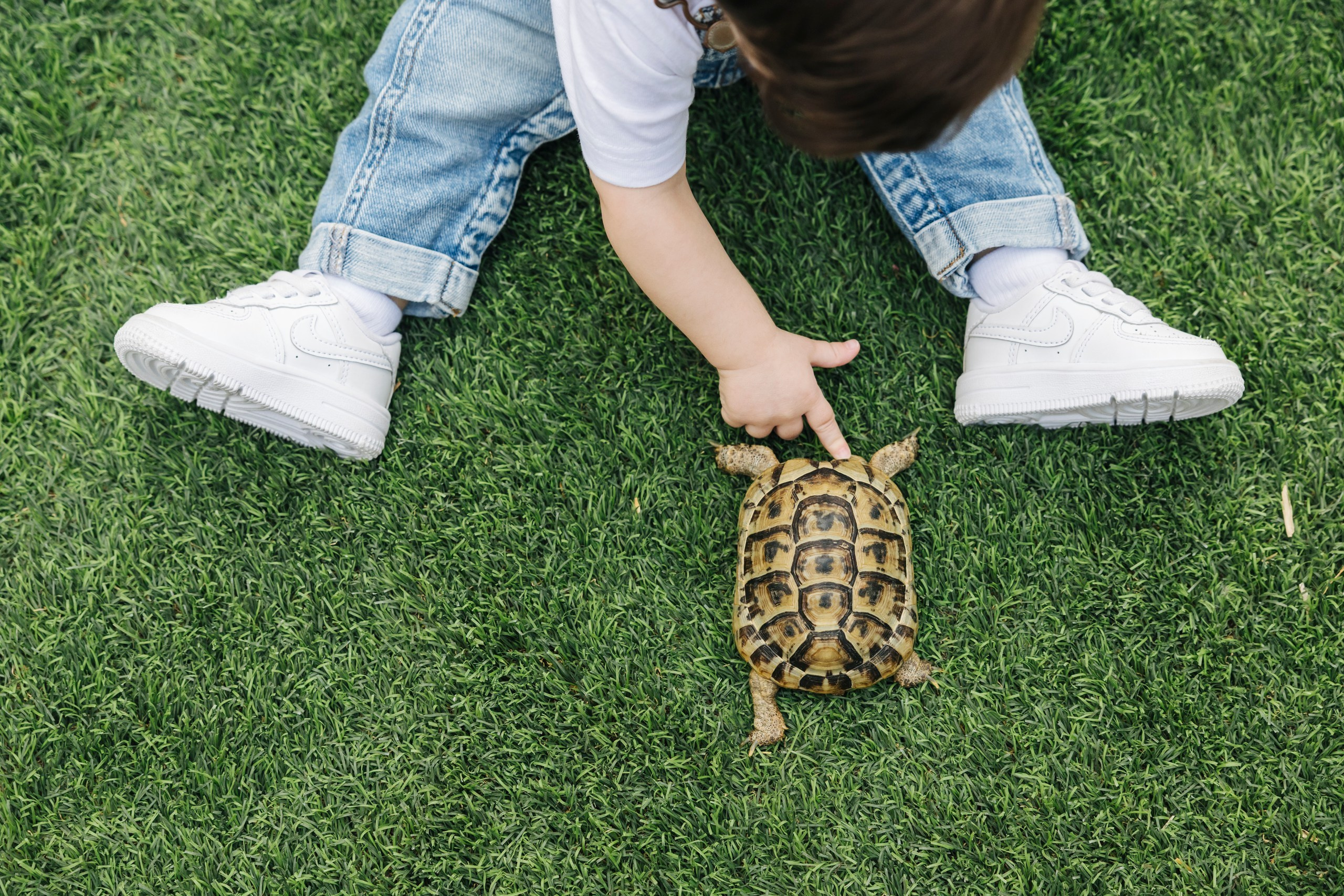 Hind & Humaid’s Birthday